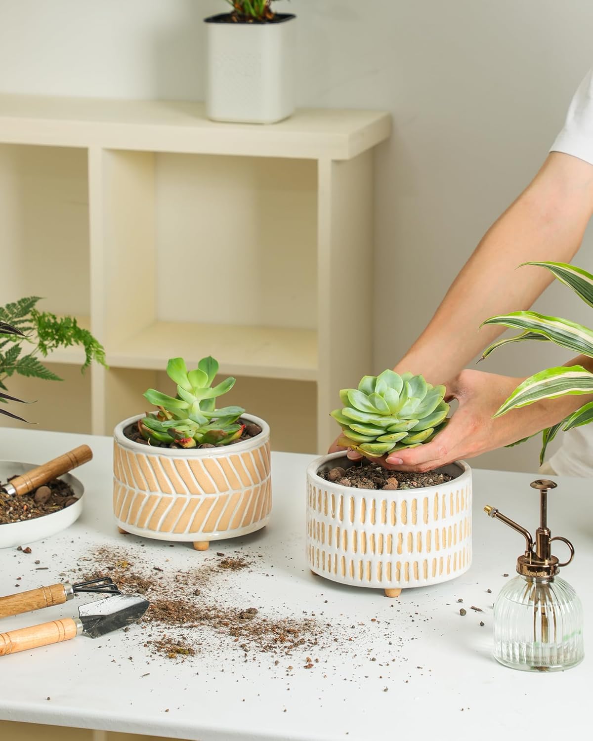 Succulent Pots, 6 Inch Pot for Indoor Plants, Footed Pots for Plants with Drainage, Succulents or Small Plant Indoor Plant Pots, Set of 2