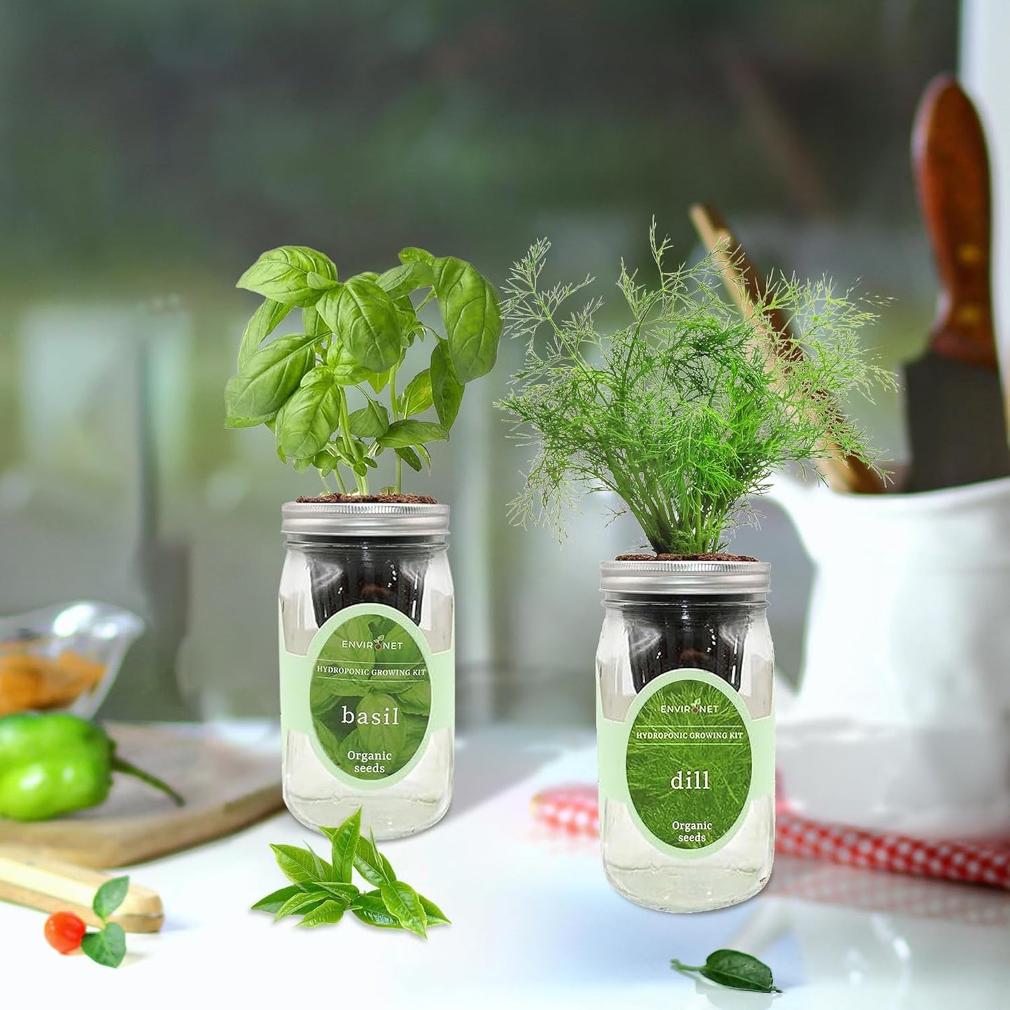 2-Pack Hydroponic Mason Jar Herb Garden Kit, Indoor Herb Garden Self-Watering Starter Kit (Basil,Dill)