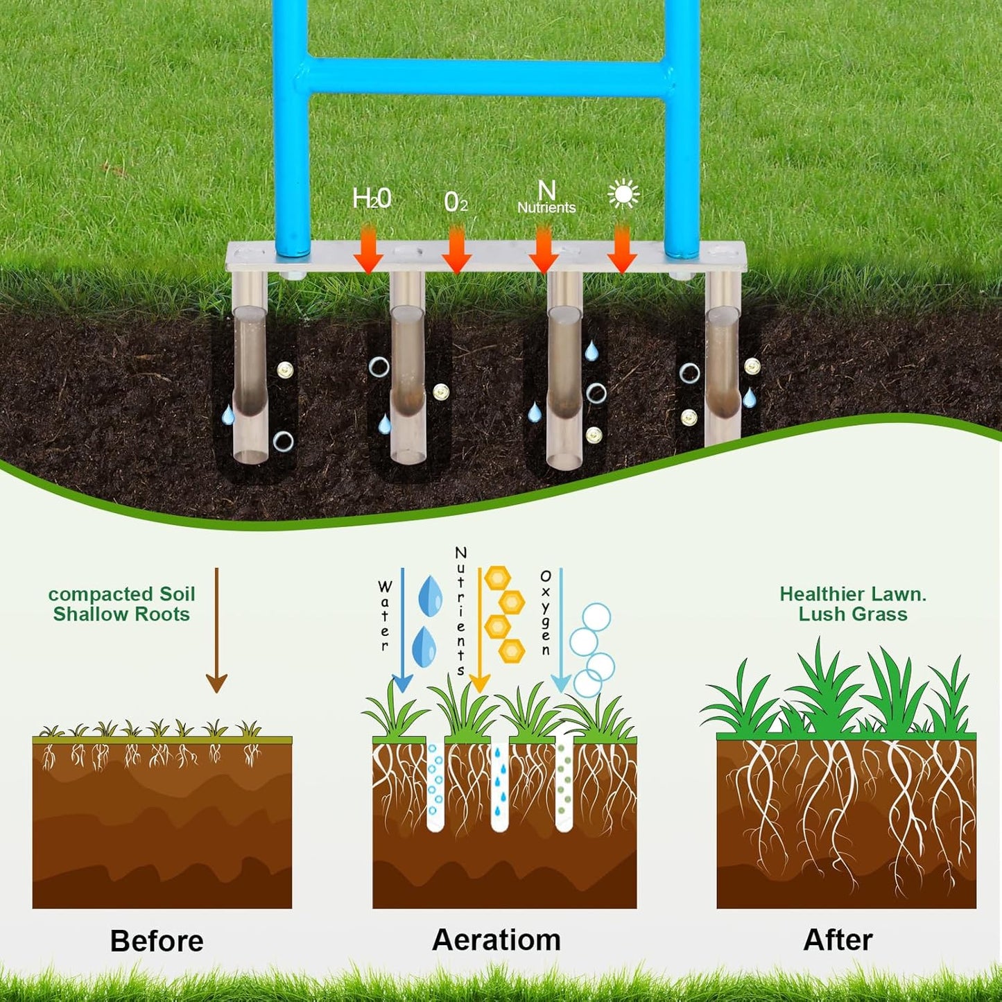 sancat Lawn Aerator with 4 Stainless Steel core Plug, 39inch Hollow Tine Aerator,Manual Yard Aerator,Grass Soil Aerator, Aerator Lawn Tool for Lawn Care.
