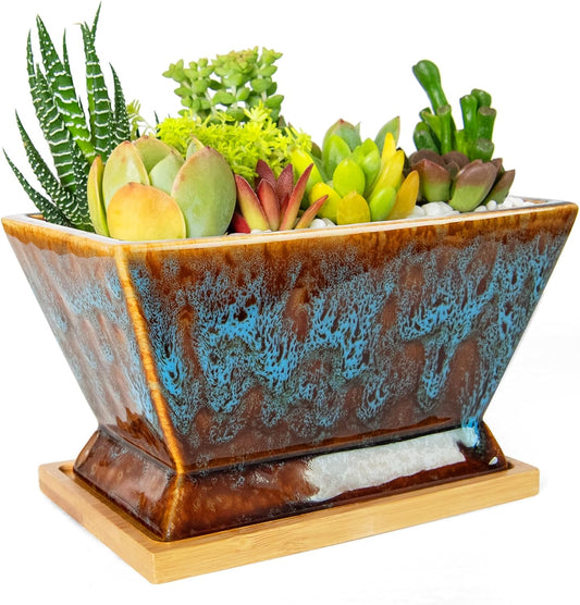 ARTKETTY Succulent Pots - 7 Inch Large Plant Pot with Drainage Tray, Shallow Ceramic Pots for Indoor Plants, Modern Cactus Bonsai Plant Container Decorative Home Office