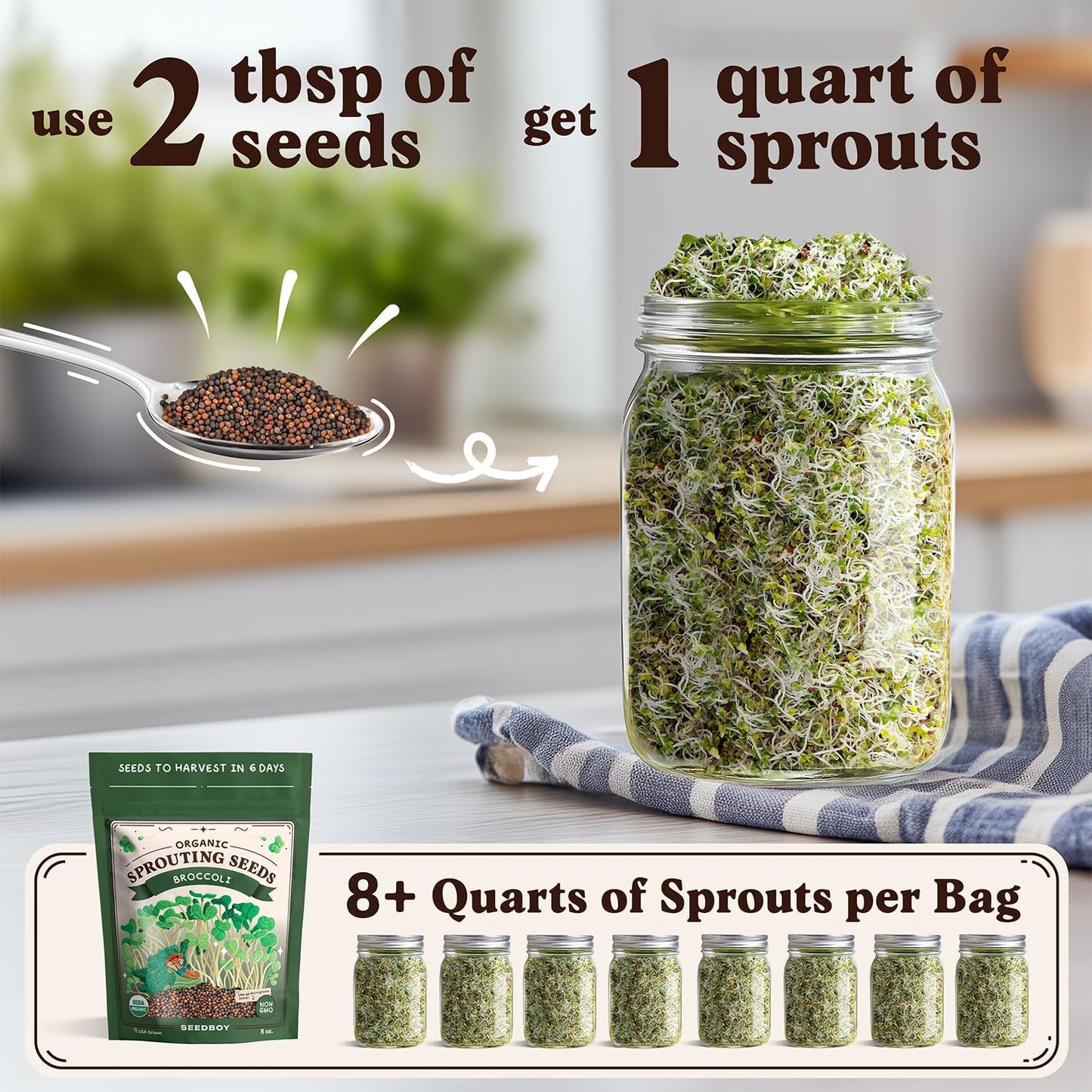 Seedboy Organic Broccoli Seeds for Sprouting - Non-GMO, USA Grown Microgreens Sprouting Seeds Mix - Makes 8 Quarts of Sprouts, 24 Servings (8 oz) (Di Cicco Broccoli)