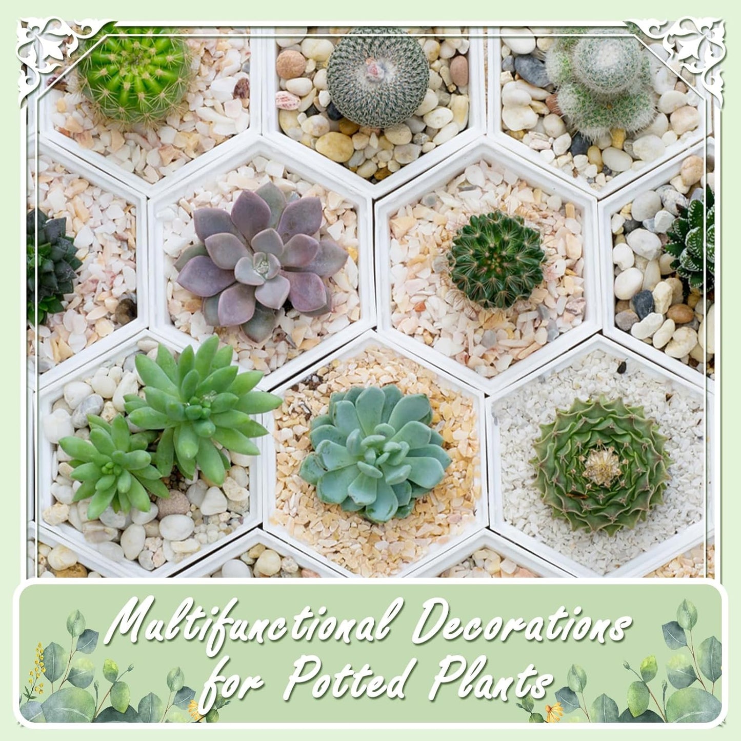 5lbs White Natural River Rocks, Polished Pebbles for Plants Garden, 1-2 inch Decorative White Stones, Ideal for Fish Tank, Vases, Crafting, Home Decor and Garden Landscaping Rocks,White