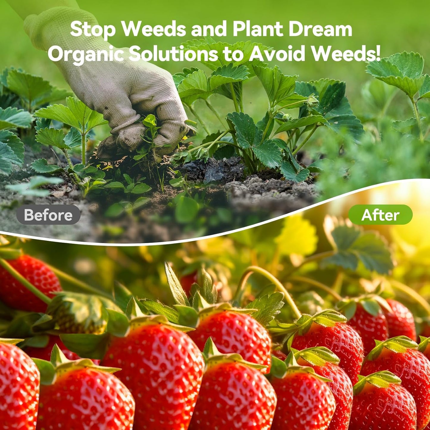 4ftx300ft Weed Barrier Landscape 3.2oz Fabric Heavy Duty, Woven Weed Control Cloth, Woven Geotextile Fabric for Underlayment, Gardening Ground, Commercial Driveway Weed Block Cover Mat