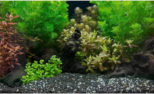 Aquarium Background Exquisite Underwater Grass Leaves with Pebbles Aquarium Backdrop Vivid Green Aquatic Plant Stone with Dead Woods and Fresh Leaves Fish Tank Wallpaper 24x16in