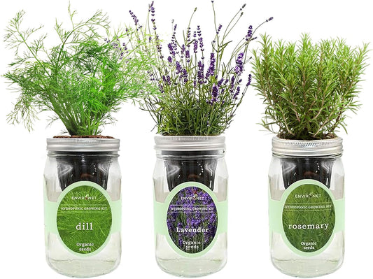 Hydroponic Herb Growing Kit Set, Self-Watering Mason Jar Herb Garden Starter Kit Indoor, Grow Your Own Herbs from Seeds (Dill, Lavender & Rosemary)