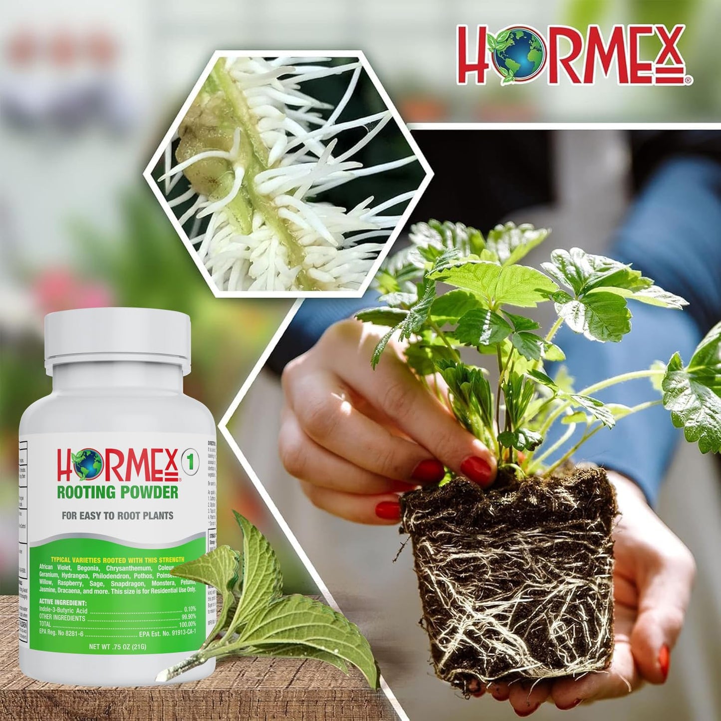 Hormex Rooting Powder #1 & Rooting Cubes Combo - Rooting Hormone for Softwood Cuttings & Organic Peat Moss Coco Plugs - Fast, Healthy Root Growth for Propagation, Hydroponics, & Seed Starting