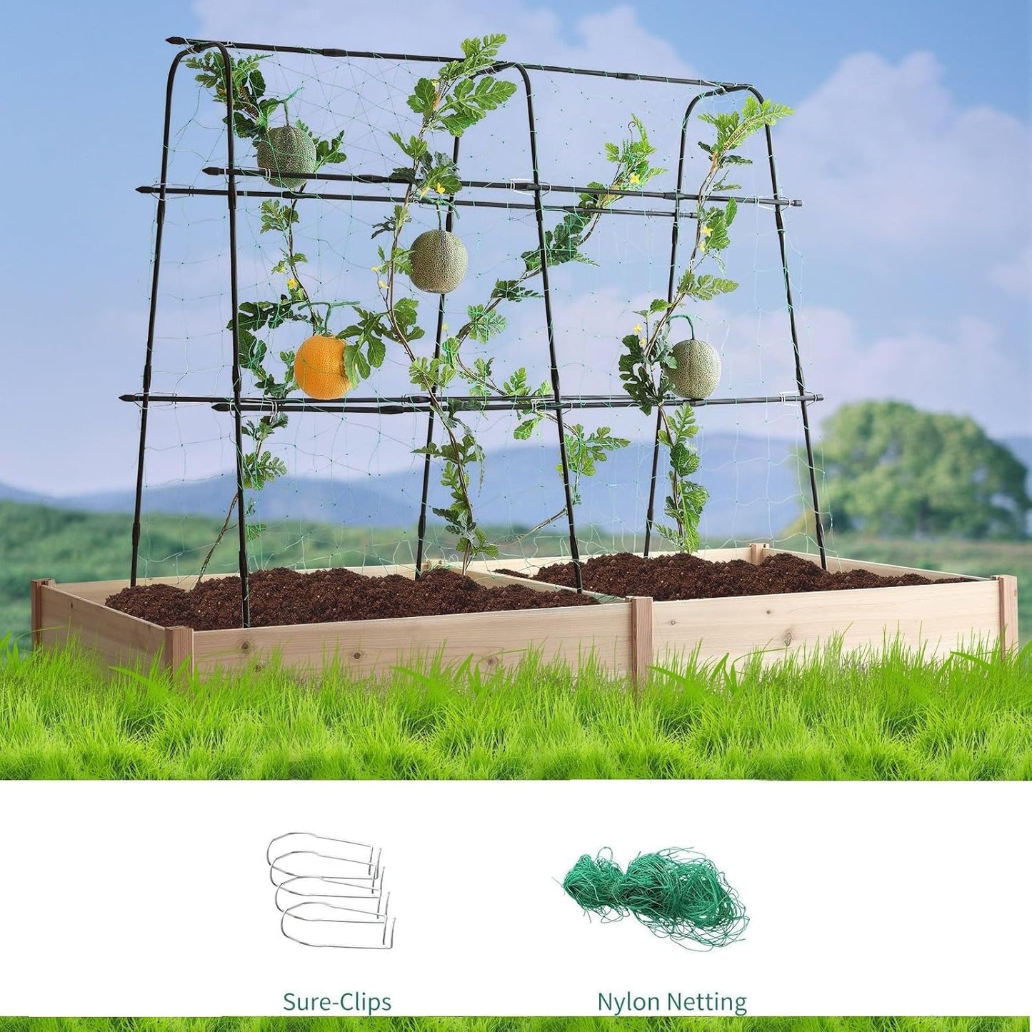 Lalahoni Cucumber Trellis, 5.3x5.3 Feet Metal Garden Arch Plant Support for Climbing Plants Outdoor Vegetable Fruit Flower Vine Peas Beans Trellis for Raised Bed, Lightweight, Black