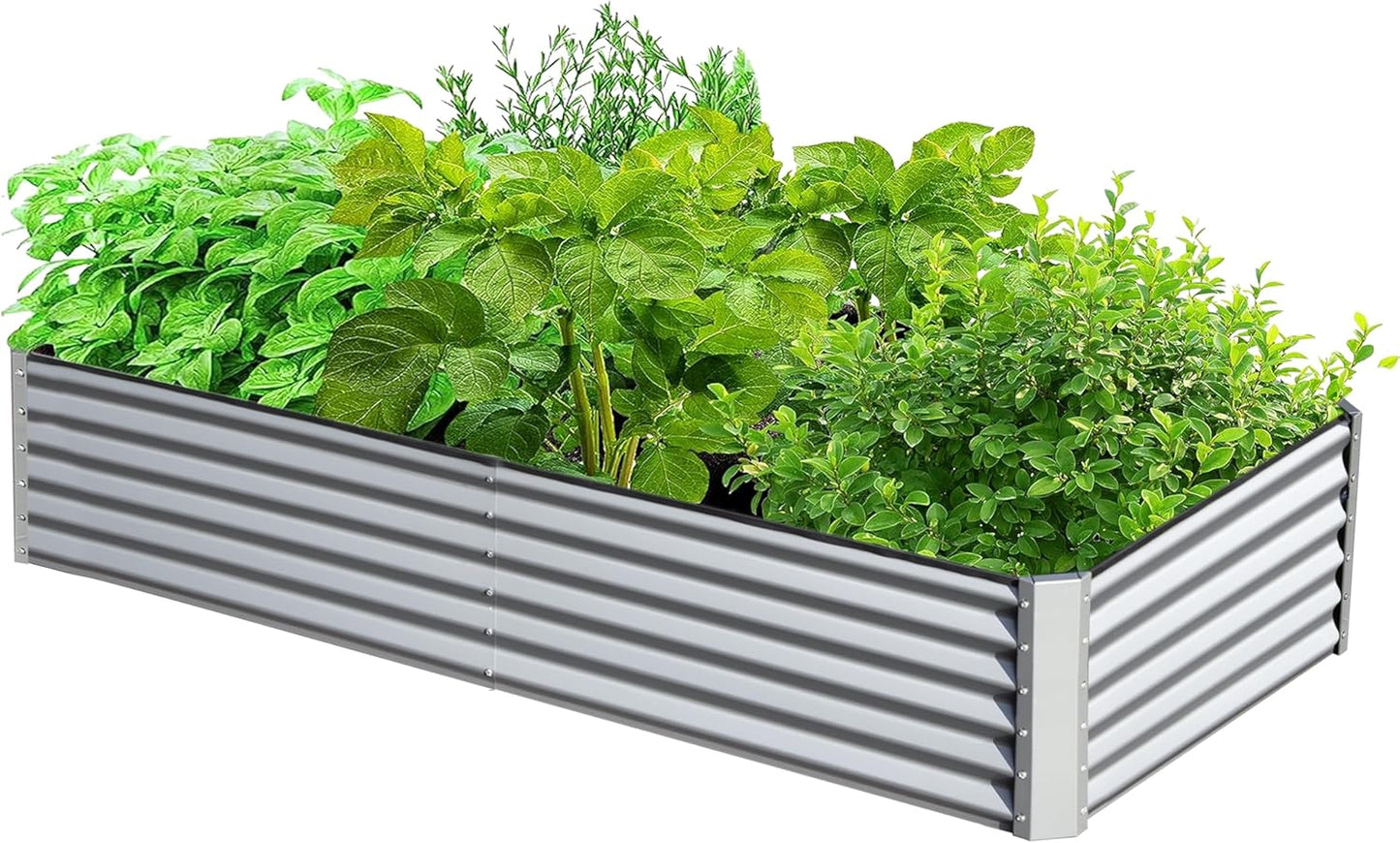 Domi Galvanized Raised Garden Bed, Outdoor Planter Garden Boxes Large Metal Planter Box for Gardening Vegetables Fruits Flowers, Silvery (6x3x1.5ft)