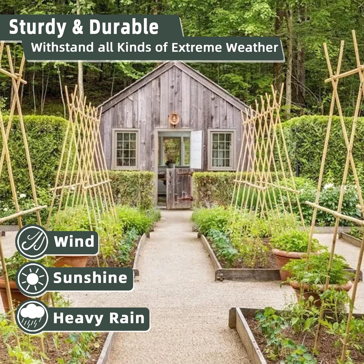 50Pcs / 2ft Bamboo Plant Stakes for Indoor Outdoor Plants, Garden Plant Support Sticks, Poles for Tomato Vegetables Beans Trees Potted Climbing Plants(0.32'')