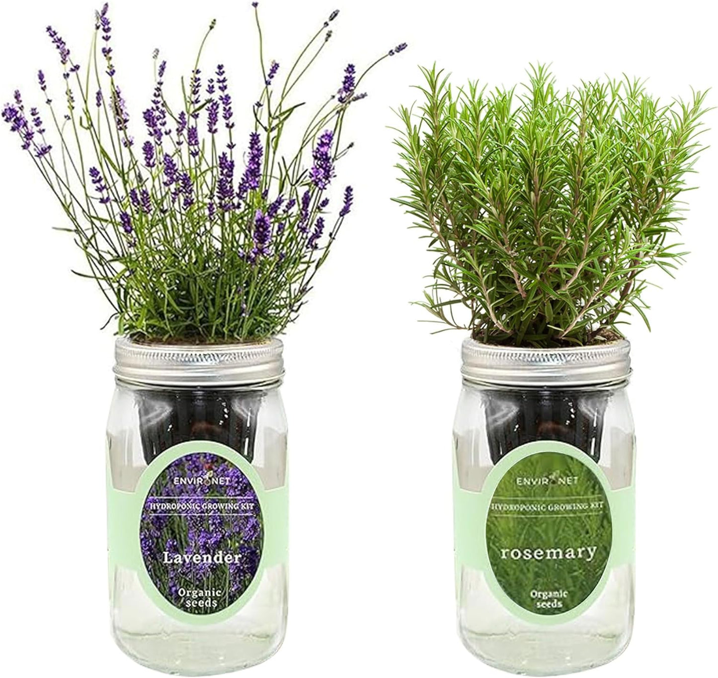 2-Pack Hydroponic Mason Jar Herb Garden Kit, Indoor Herb Garden Self-Watering Starter Kit (Lavender,Rosemary)