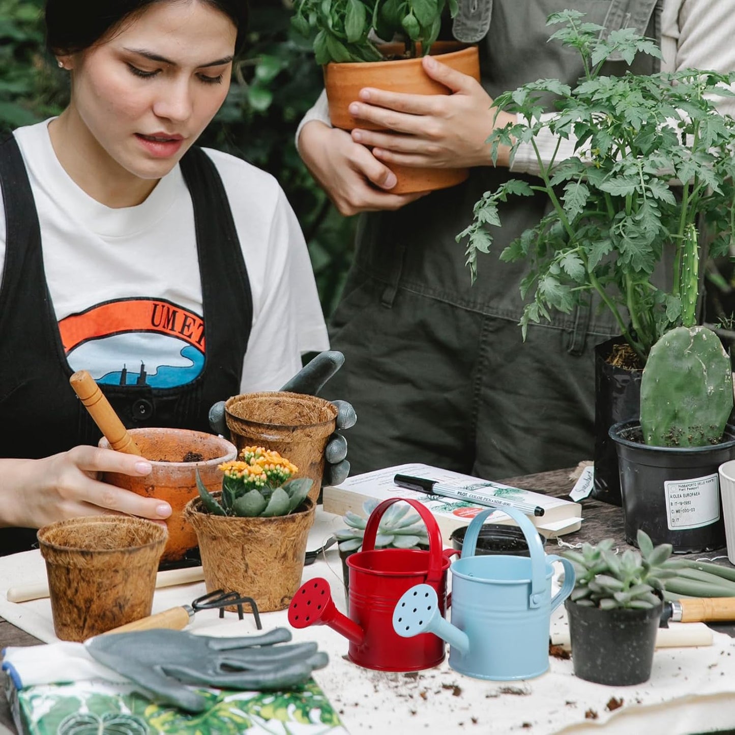 2pcs Kids Metal Watering Can for Indoor Plants, Durable Iron Sprinkling Kettle, Portable Small Water Can for Garden Home Plants, Red and Light Blue, 6.69 x 2.75 x 2.75 Inch