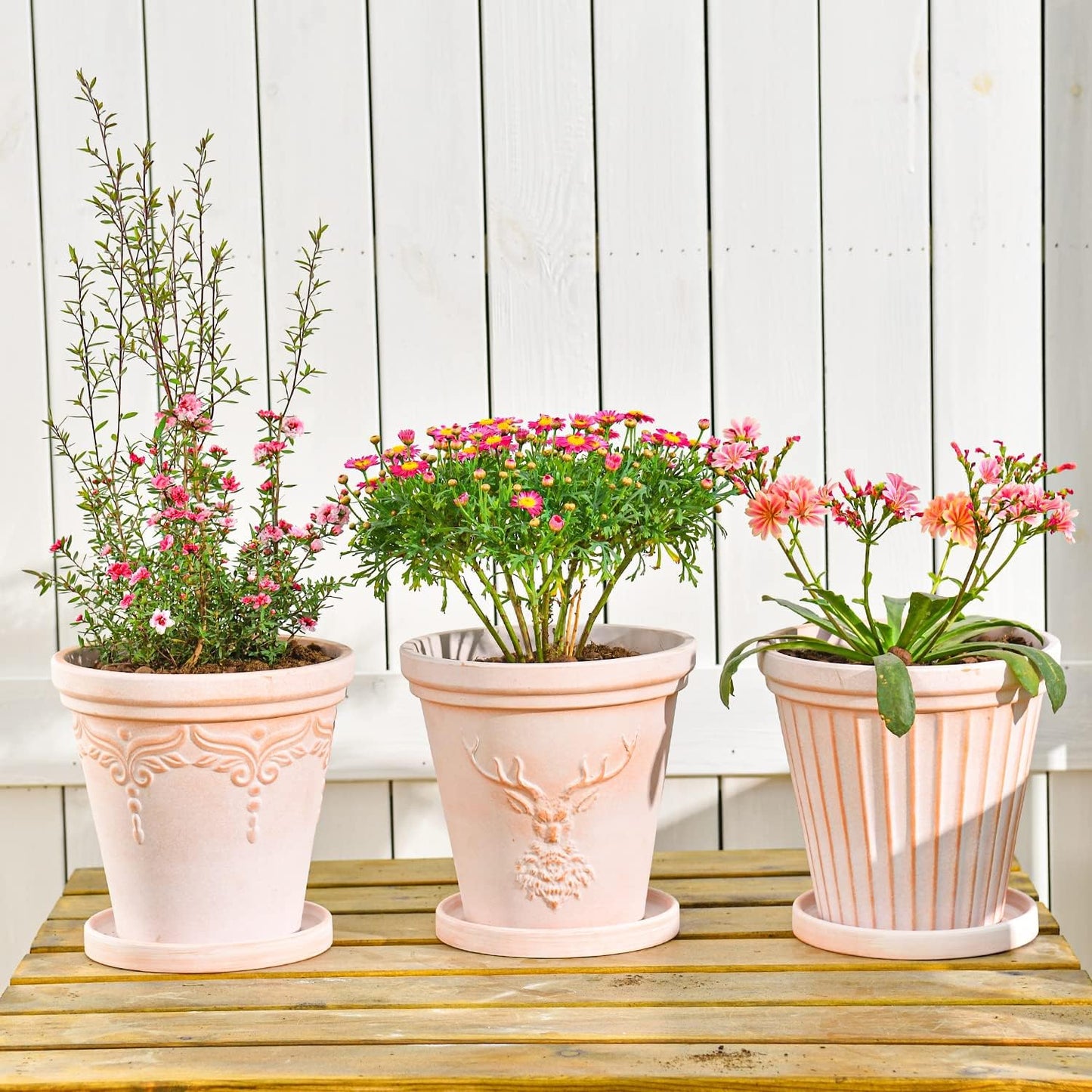 Sungmor Set of 3 Terra Cotta Pots With Saucer & Drainage Hole - 8 Inch Large & Deep Clay Planters, Unique Embossed & Pretty Color Pottery for Plants, Orchid, Cactus, Succulent