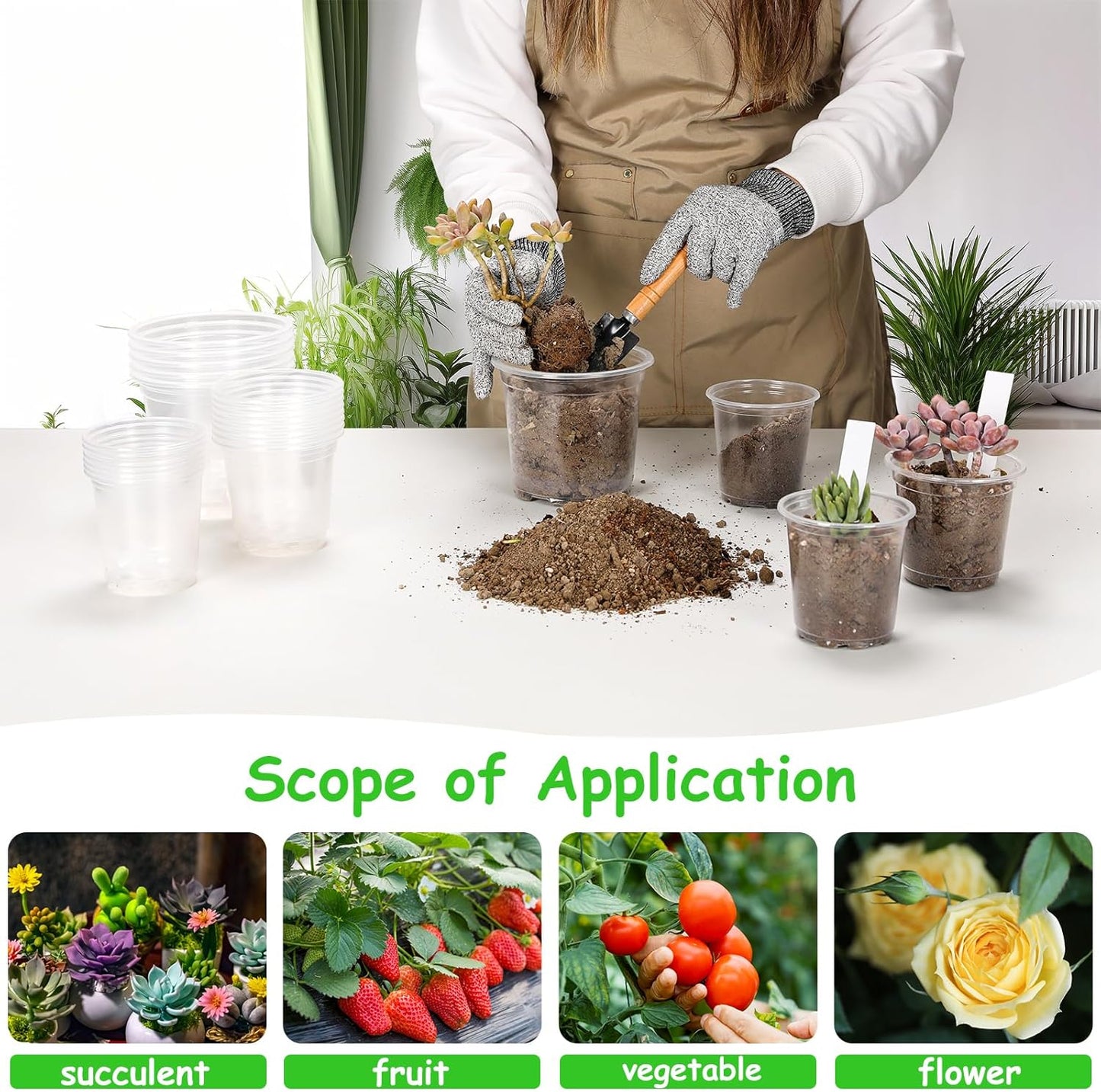 60 Pack 3.5/4/5 Inch Reinforced Clear Nursery Pots with Drainage Holes, Transparent Variety Pack Plastic Plant Pot Seed Starter Pots Flower Pots Come with 50pcs Plant Labels