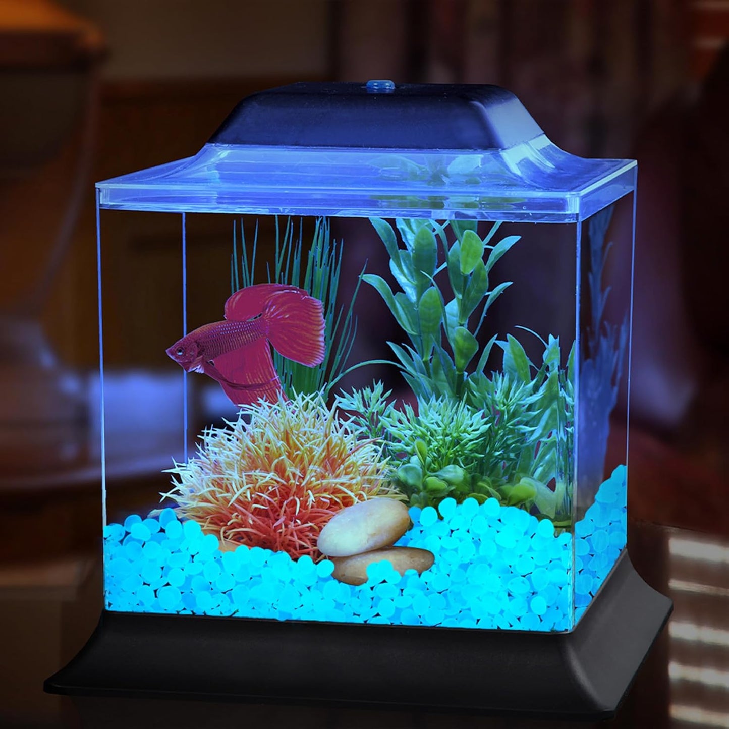 Glow in The Dark Rocks Outdoor Decorative Stones, 1000 PCS White Glows Blue Small Luminous Pebbles for Garden Walkway Fish Tank Aquarium Planter Vase Filler