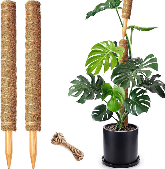 2 Pack 21 Inch Moss Poles, Stackable Moss Pole for Plants Monstera, 37 Inch Tall Moss Poles for Climbing Plants Indoor, Coir Totem Plant Support Stakes Stand for Potted Plants, Pothos