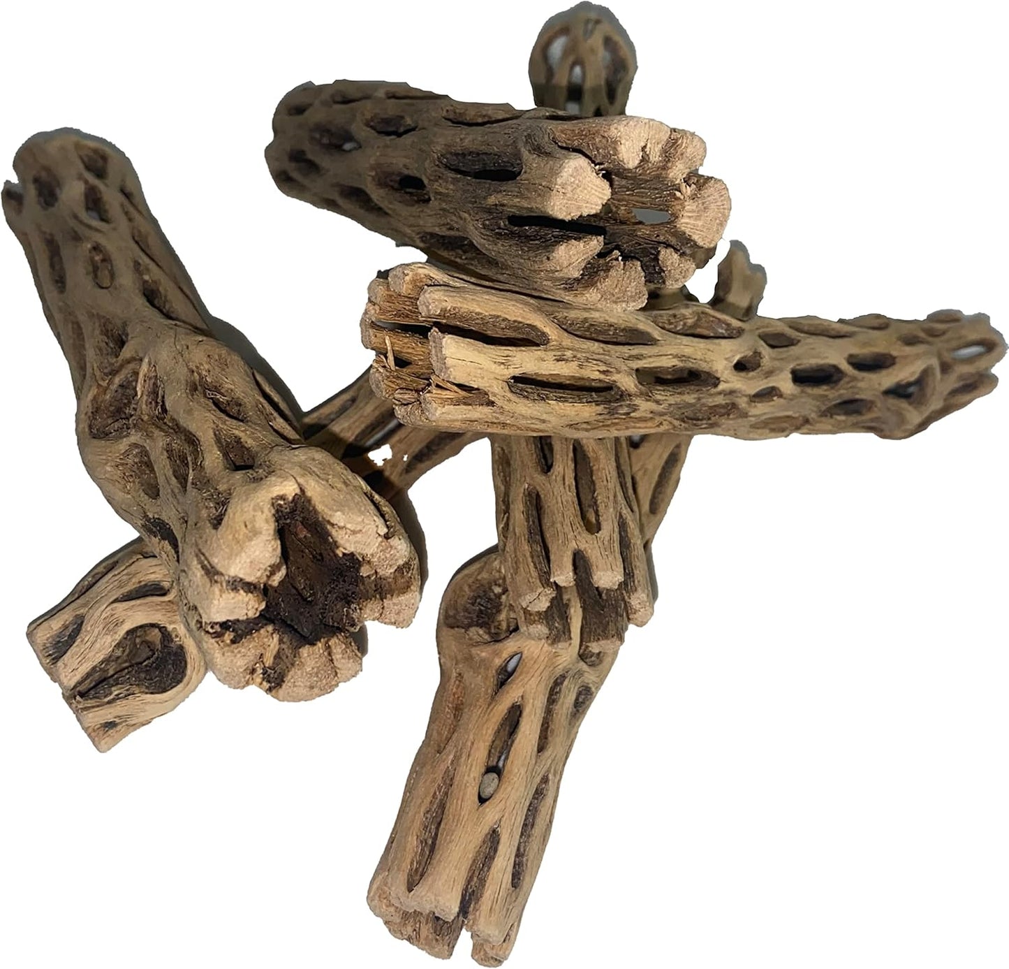 Awesome Aquatic Natural Cholla Choya Wood 5 Pieces 6” for Shrimp Habitat and Food Treat Hermit Crabs Plecos Aquarium Decoration Lowers pH Hideouts and Chew Toys Reptiles Thorn Free Dried Organic