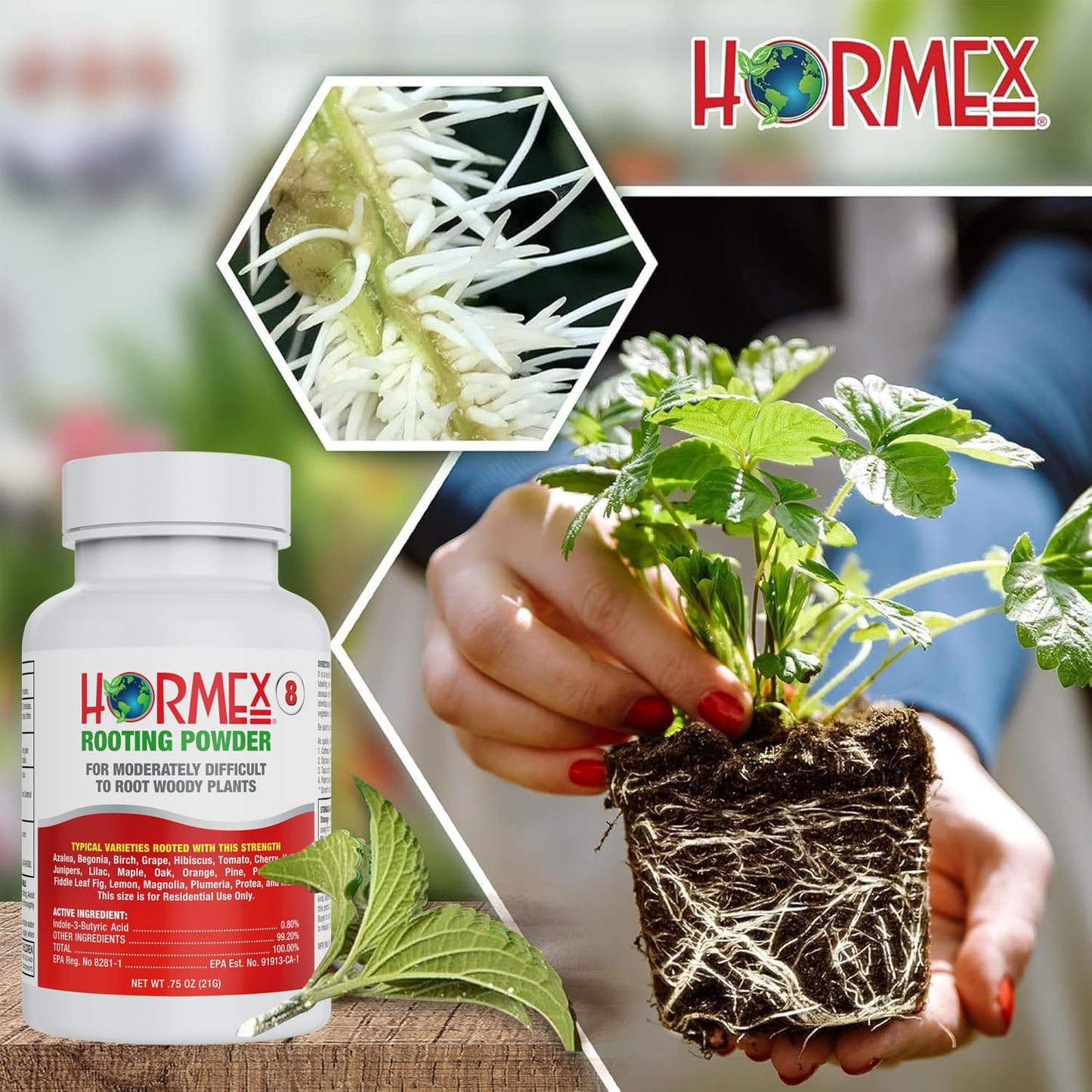 Hormex Rooting Powder #8 & Rooting Cubes Combo - Rooting Hormone for Semi-Hardwood Cuttings & Organic Peat Moss Coco Plugs - Fast, Healthy Root Growth for Propagation, Hydroponics, & Seed Starting