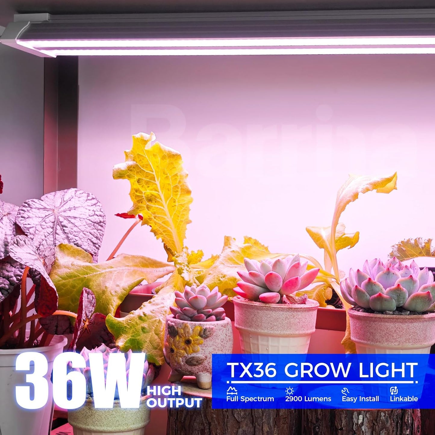 Barrina TX36 2FT LED Grow Light, 36W(200W Equivalent), High PPFD, Full Spectrum, Hanging Plant Lights for Indoor Growing, Grow Lights for Seed Starting, Vegetables with On/Off Switch, Linkable, 1 Pack