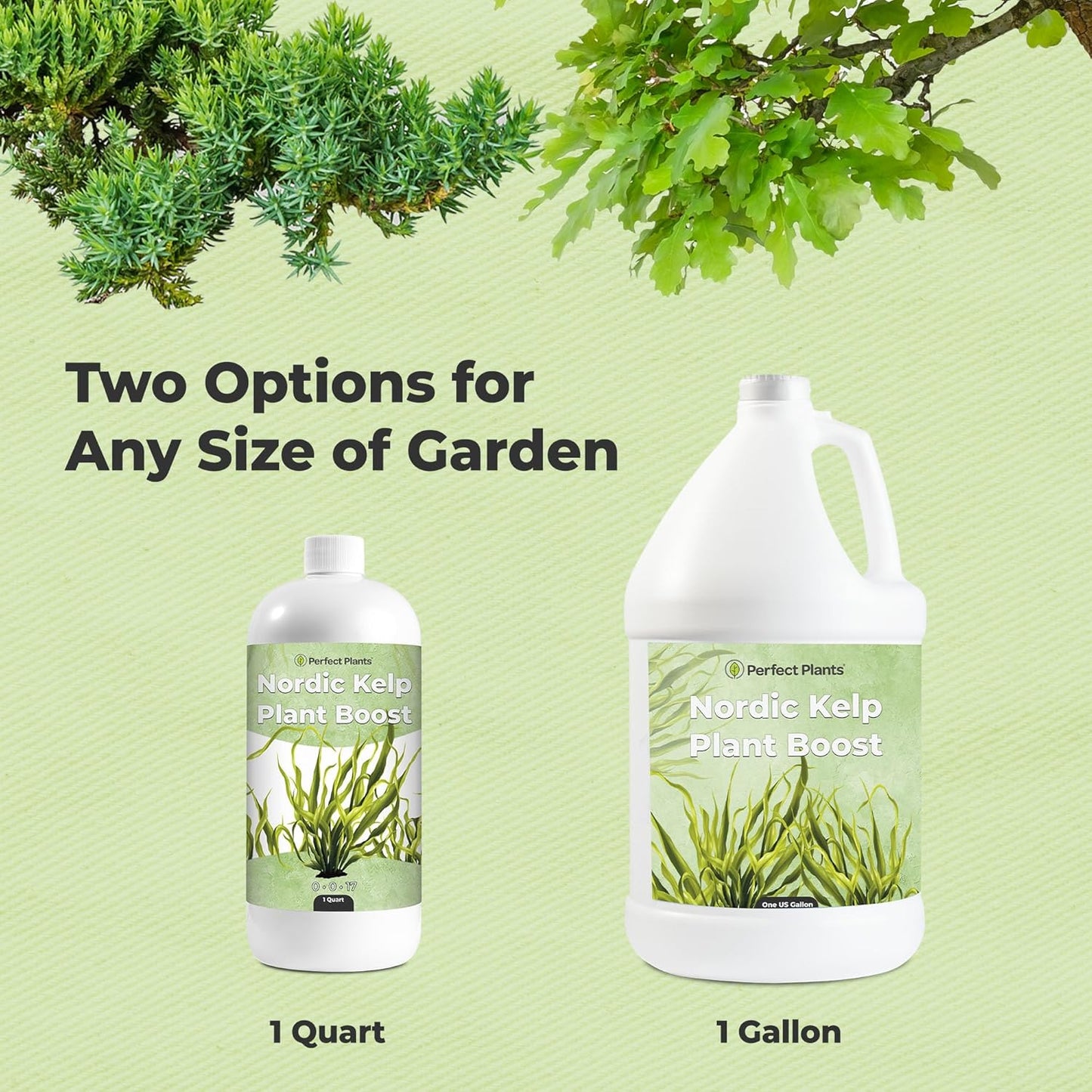 Nordic Kelp Boost Liquid - Perfect Plants (1 Quart)