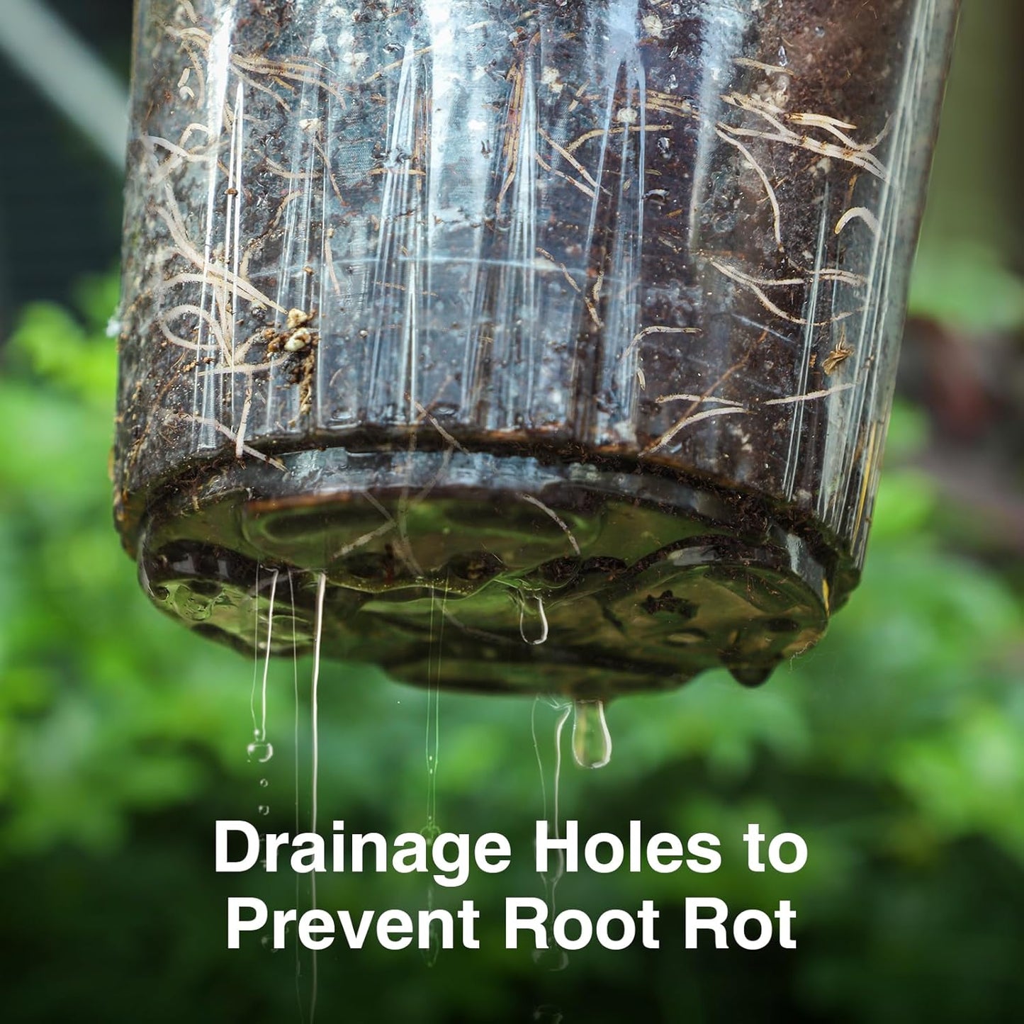 Bonviee 36 Packs 6.7/5/4/3.5 Inch Clear Nursery Pots for Plants, Reinforced Clear Nursery Pots with Drainage Hole,Transparent Plastic Plant Pot Seedling Planter Seed Starter Flower