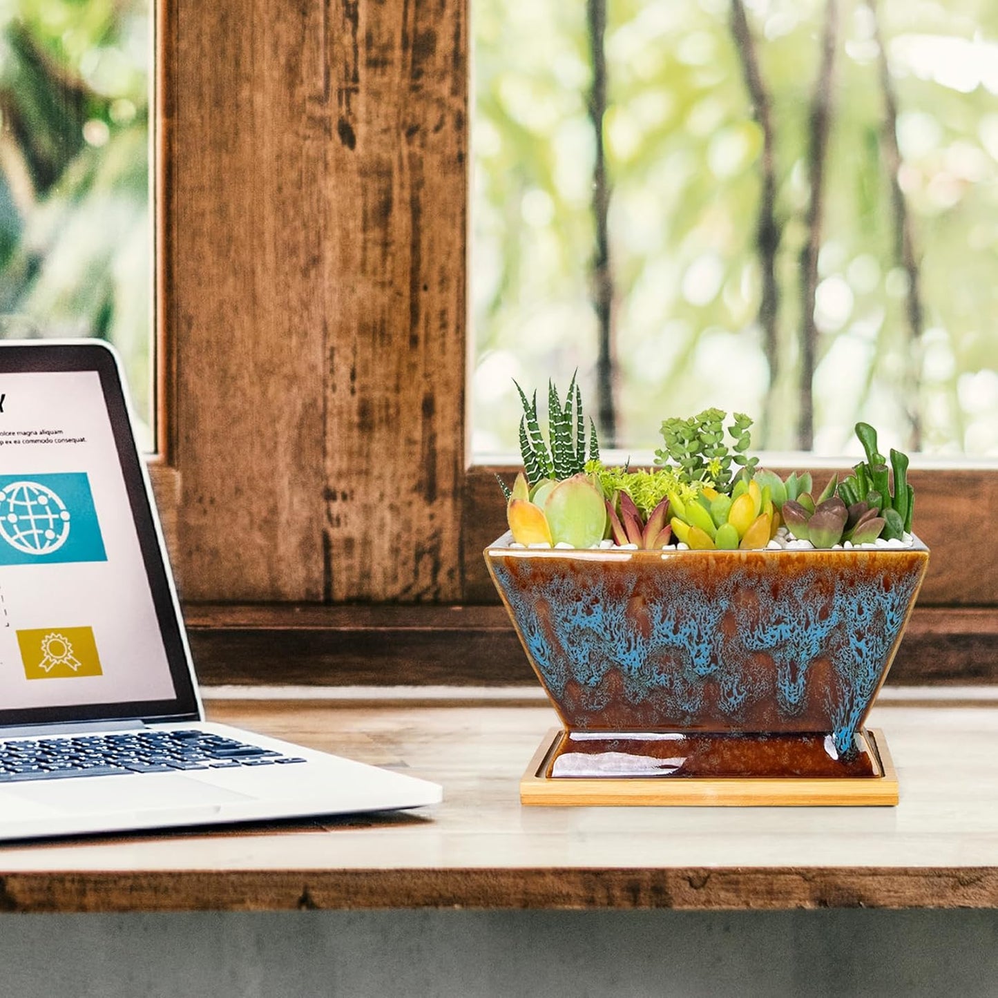 ARTKETTY Succulent Pots - 7 Inch Large Plant Pot with Drainage Tray, Shallow Ceramic Pots for Indoor Plants, Modern Cactus Bonsai Plant Container Decorative Home Office