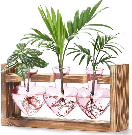 Lifecapido Heart Shaped Propagation Stations, Plant Terrarium with Wooden Stand, Plant Propagation Station for Hydroponics Plants Office Garden Home Decor, Gifts for Women Plant Lover (3 Vases, Pink)