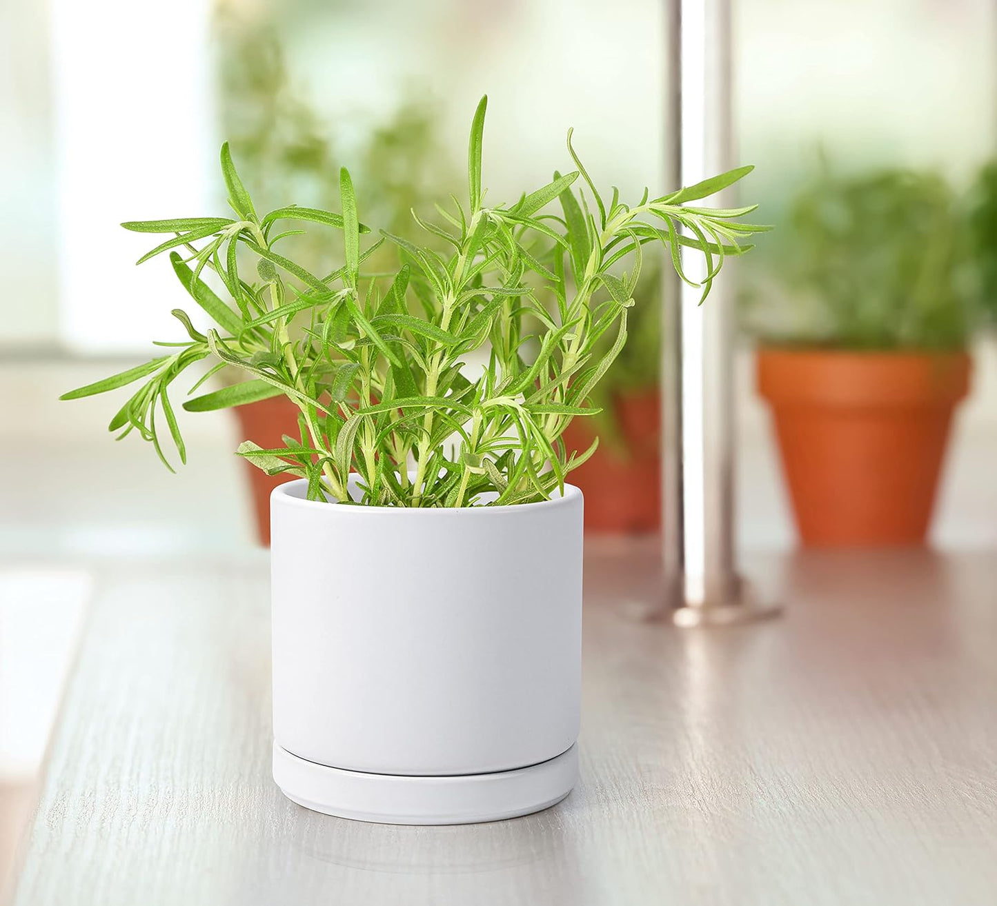 D'vine Dev Ceramic Planter Pot with Drainage Hole and Saucer, Indoor Cylinder Round Flower Pot, 4.6 Inch, White, 94-O-B-1