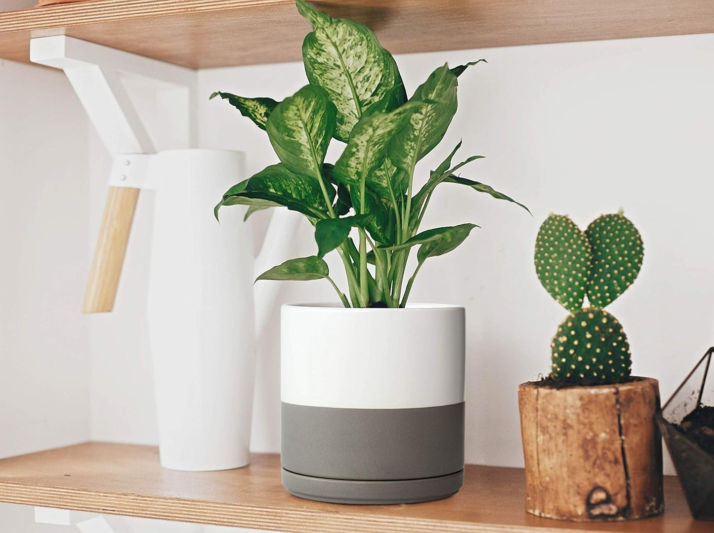 D'vine Dev Set of 2 Plants Pots, 6 Inch Ceramic Planter Pot for Plants with Drainage Hole and Saucer, White/Speckled Grey, 94-V-C-6