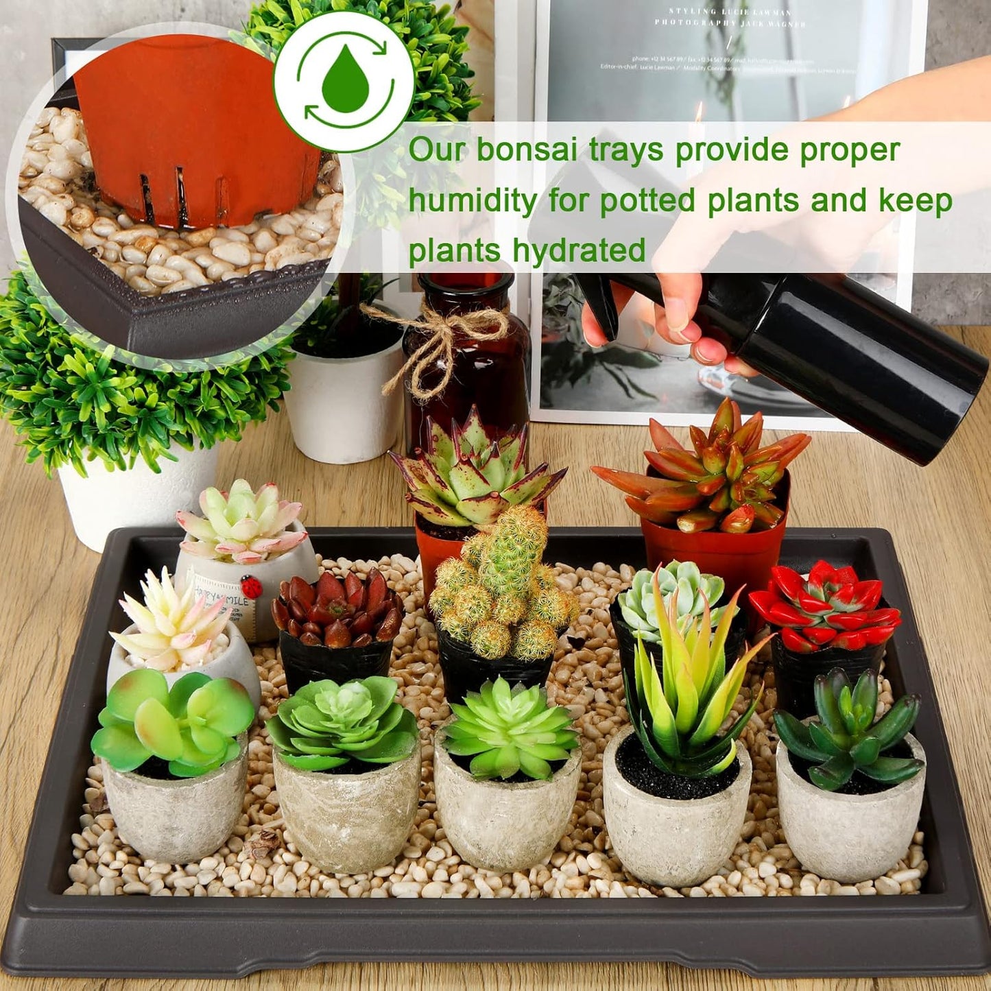 Pinkunn 2 Pcs Bonsai Humidity Tray Drip Tray Plastic Plant Water Catcher Plant Saucers for Indoors and Outdoors Cactus,Succulents,Bonsai Tree,Stone Not Included (15.7 x 13 Inch)