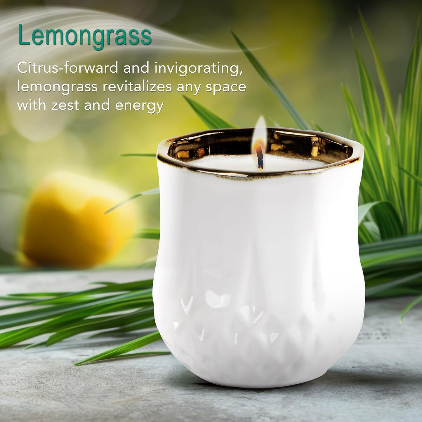The Growing Candle, Lemongrass Scented, 9oz Ceramic Pot, Single Wick Aromatherapy Candles, 100% Soy for Women and Men, Astrid