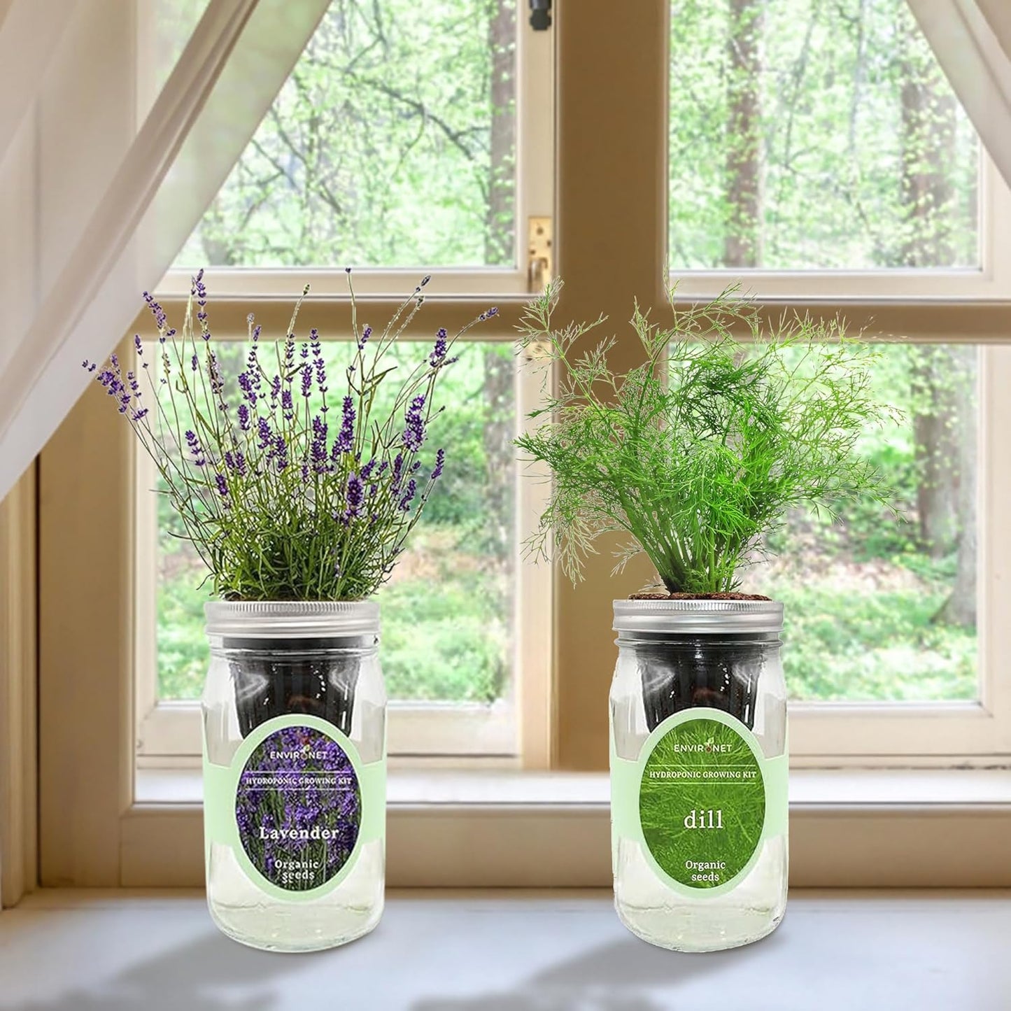 2-Pack Hydroponic Mason Jar Herb Garden Kit, Indoor Herb Garden Self-Watering Starter Kit (Lavender,Rosemary)