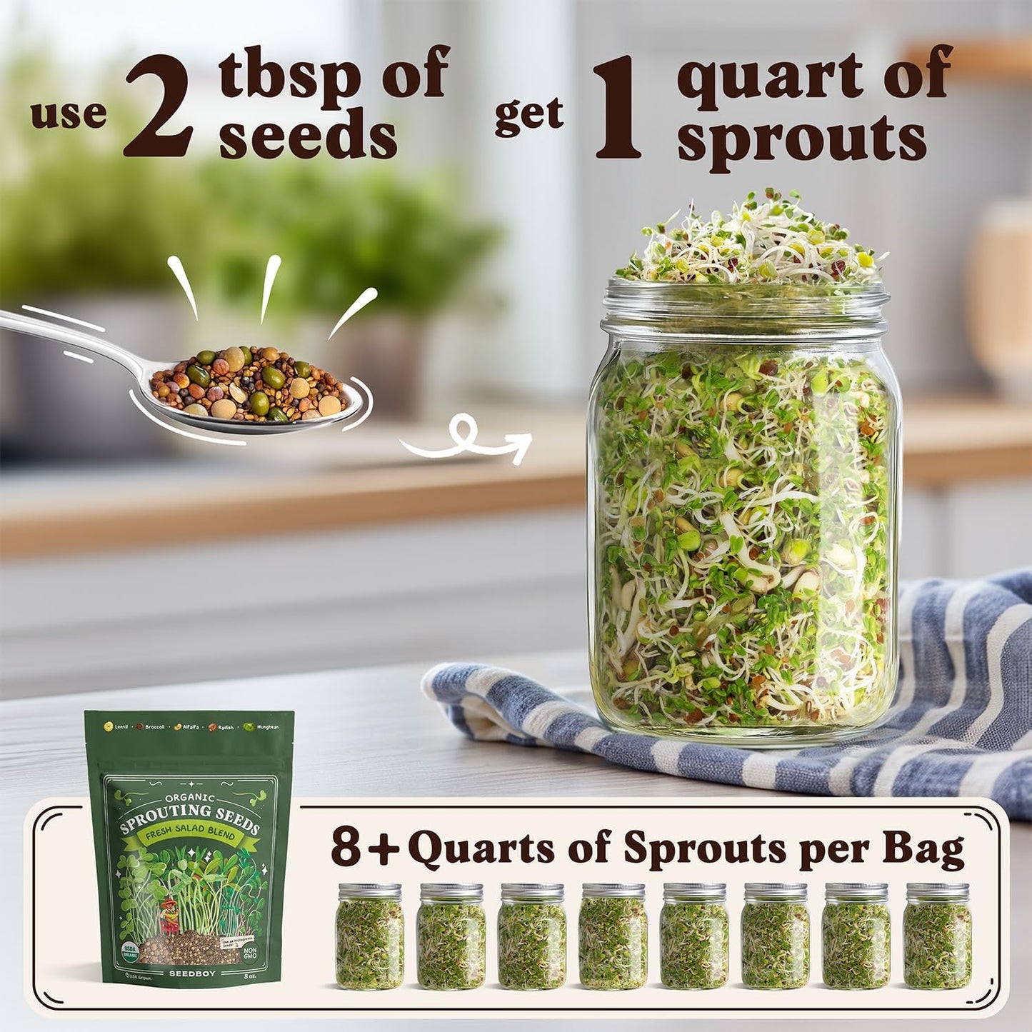 Seedboy Organic Sprouting Seeds - Salad Blend Variety- Non-GMO, USA Grown Microgreens Mix - Alfalfa, Broccoli, Radish, Mung Bean, Lentil - Makes 8 Quarts of Sprouts, 24 Servings (8 oz) (Salad Blend)