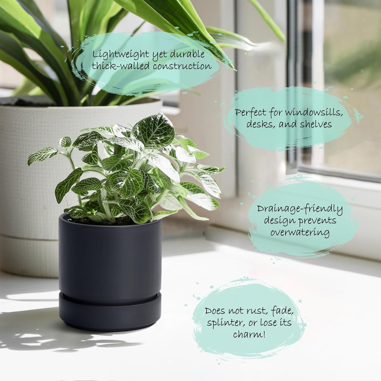 Phoenix Vine 4 Inch Planter Pot with Drainage Hole & Saucer, Deep Water Catch Tray, Straight Cylindrical Round Pot for Plants, Matte Black, Pack of 3, 23-C-R-3