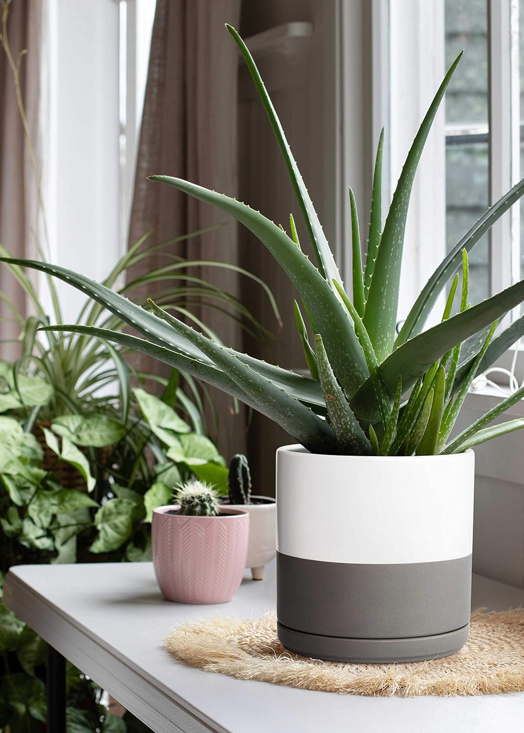 D'vine Dev Set of 2 Plants Pots, 8 Inch Ceramic Planter Pot for Plants with Drainage Hole and Saucer, White/Speckled Grey, 94-V-D-6