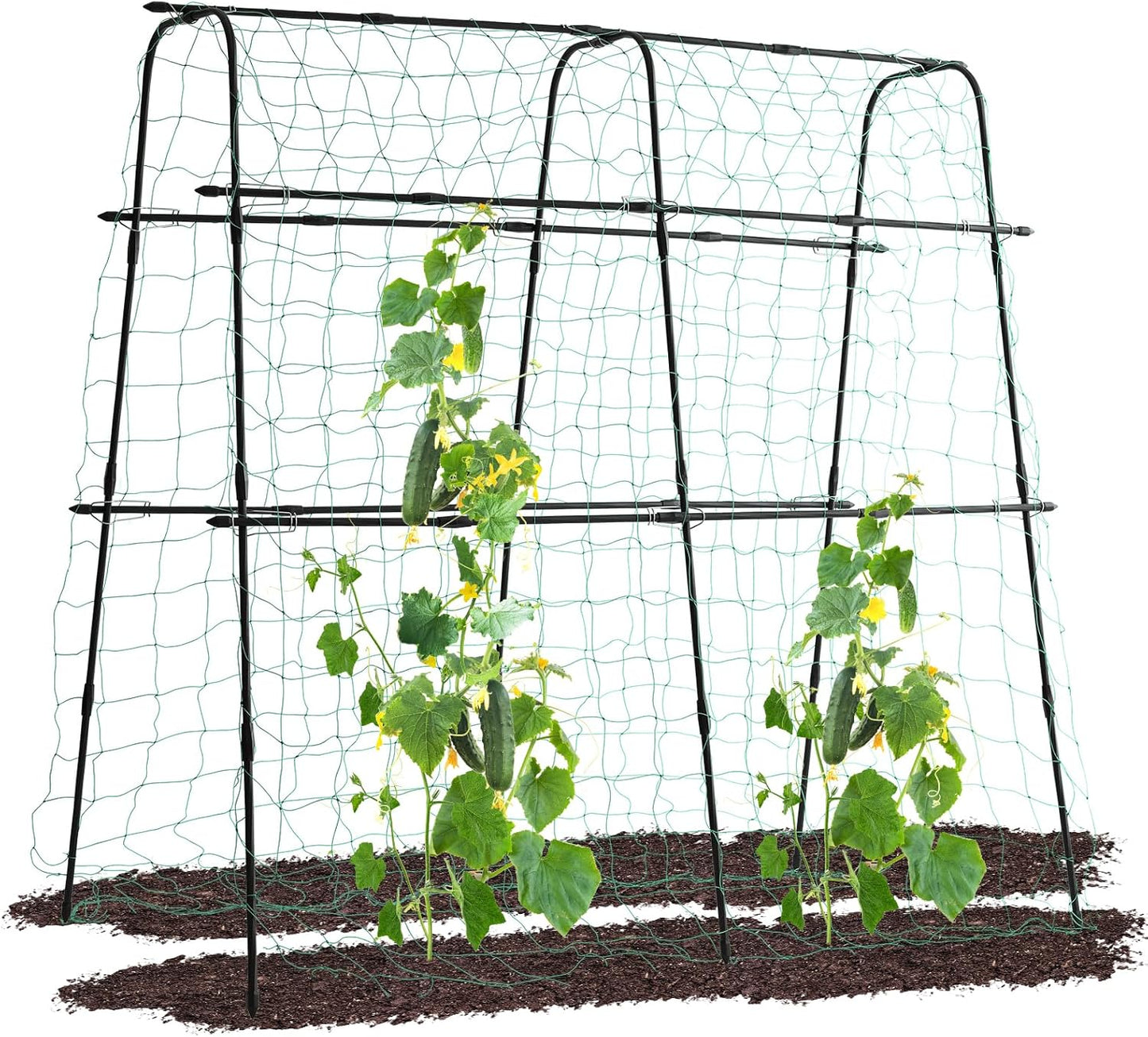 Lalahoni Cucumber Trellis, 5.3x5.3 Feet Metal Garden Arch Plant Support for Climbing Plants Outdoor Vegetable Fruit Flower Vine Peas Beans Trellis for Raised Bed, Lightweight, Black