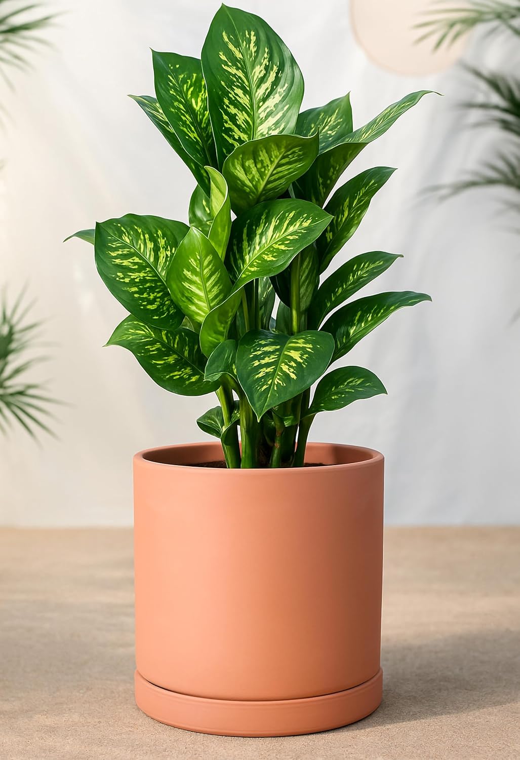 D'vine Dev Large 10 Inch Terracotta Plant Pot with Drainage Hole and Saucer, Round Cylinder Planter Pot for Indoor Plants, Set of 2, 40-X-B-5