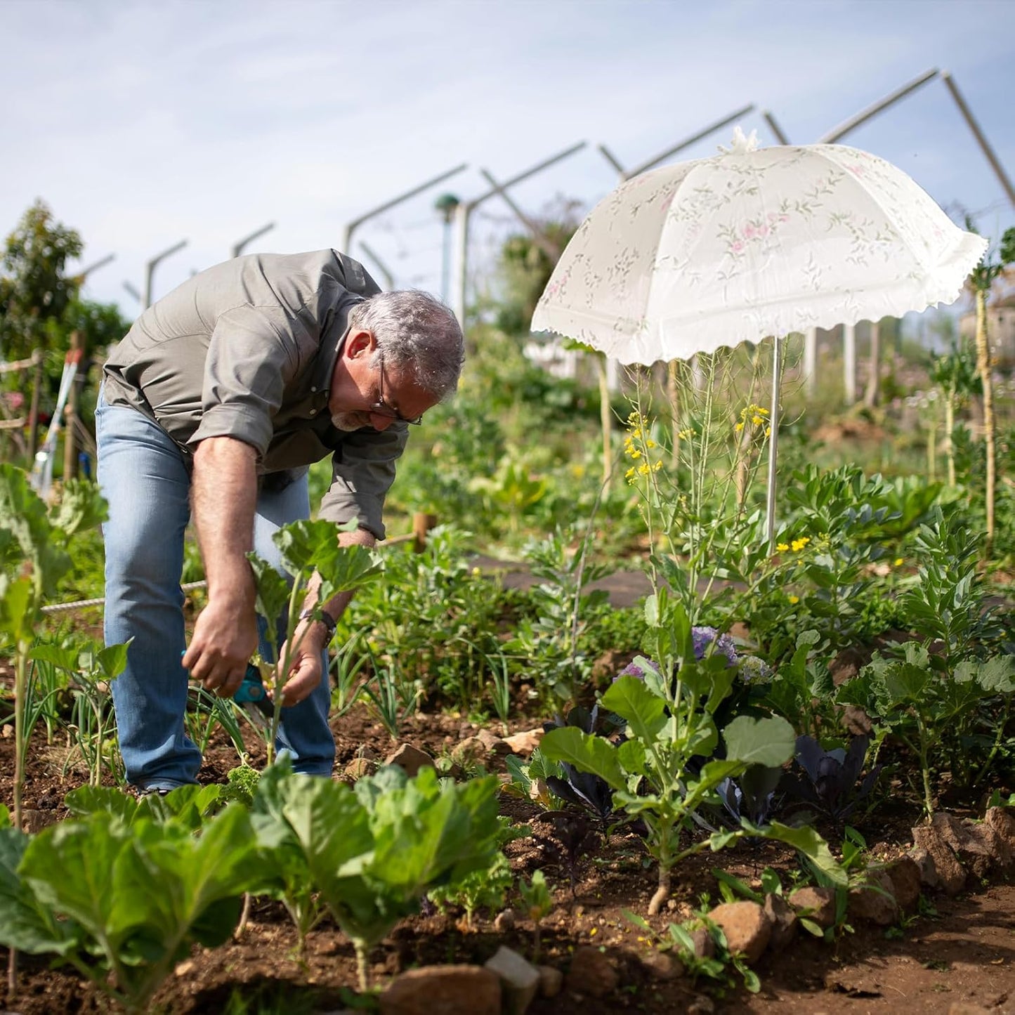 TIMSO Adjustable 3 Pack Plant Shade Umbrella for Outdoor Garden - Sun Protection Cloth & Umbrella for Plants, Potted Plants, and Garden Beds