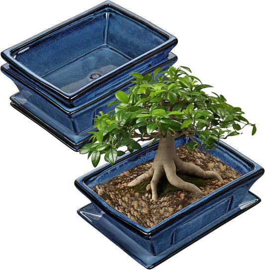 Large Ceramic Bonsai Pots with Drainage Trays Set of 2, 10" Blue Glazed Bonsai Planters for Indoor/Outdoor Use, Rectangular Shallow Bonzai Tree Pot for Succulent, Orchids, Cacti, Home, Patio, Garden