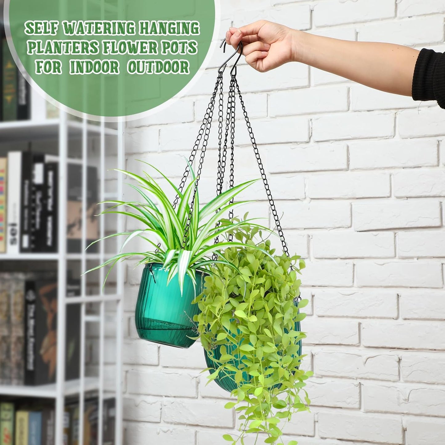 Maxcheck 4 Pcs Self Watering Hanging Planters Indoor Gift 6.5'' 4.5'' Hanging Flower Pots Baskets Outdoor Self Watering Plant with 3hooks Drainage Holes for Home(Emerald,Clear)