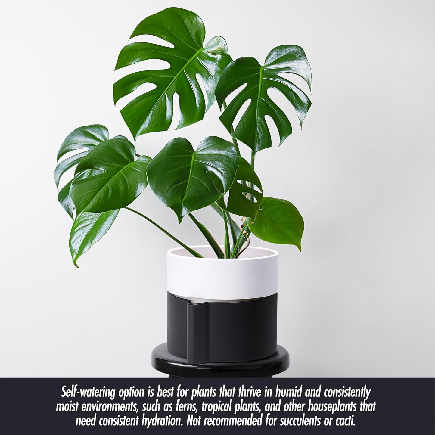 8 Inch Self-Watering Planter Pot with Terracotta Insert, Deep Water Reservoir, and Ceramic-Alike BPA-Free Plastic Planter Pot for Plant, Modern Planter for Houseplants, Black/White, 53-C-T-7