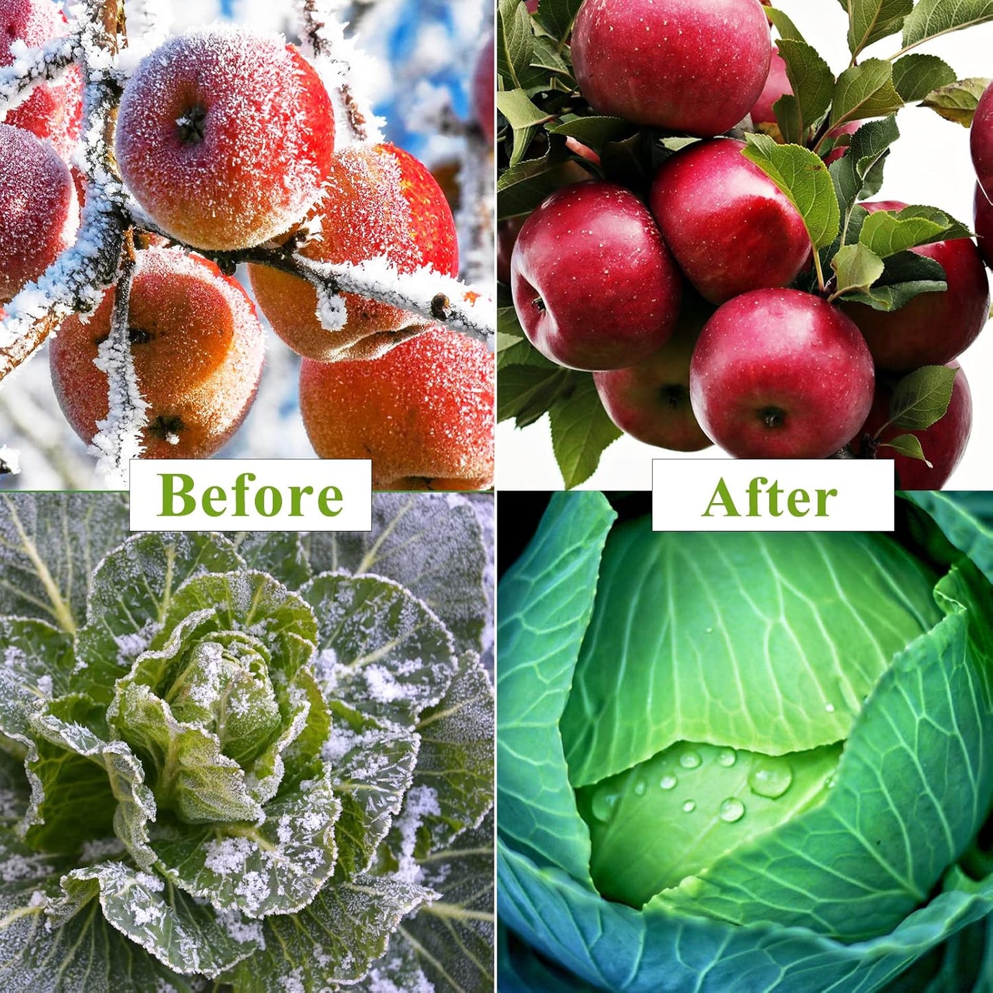 Plant Covers Freeze Protection 10 x 50Ft with 20 Stainless Steel Clip- Frost Cloth Plant Blankets Garden Fabric Freeze Cover for Outdoor Plant Raised Bed Greenhouse Winter Frost Sun Protection