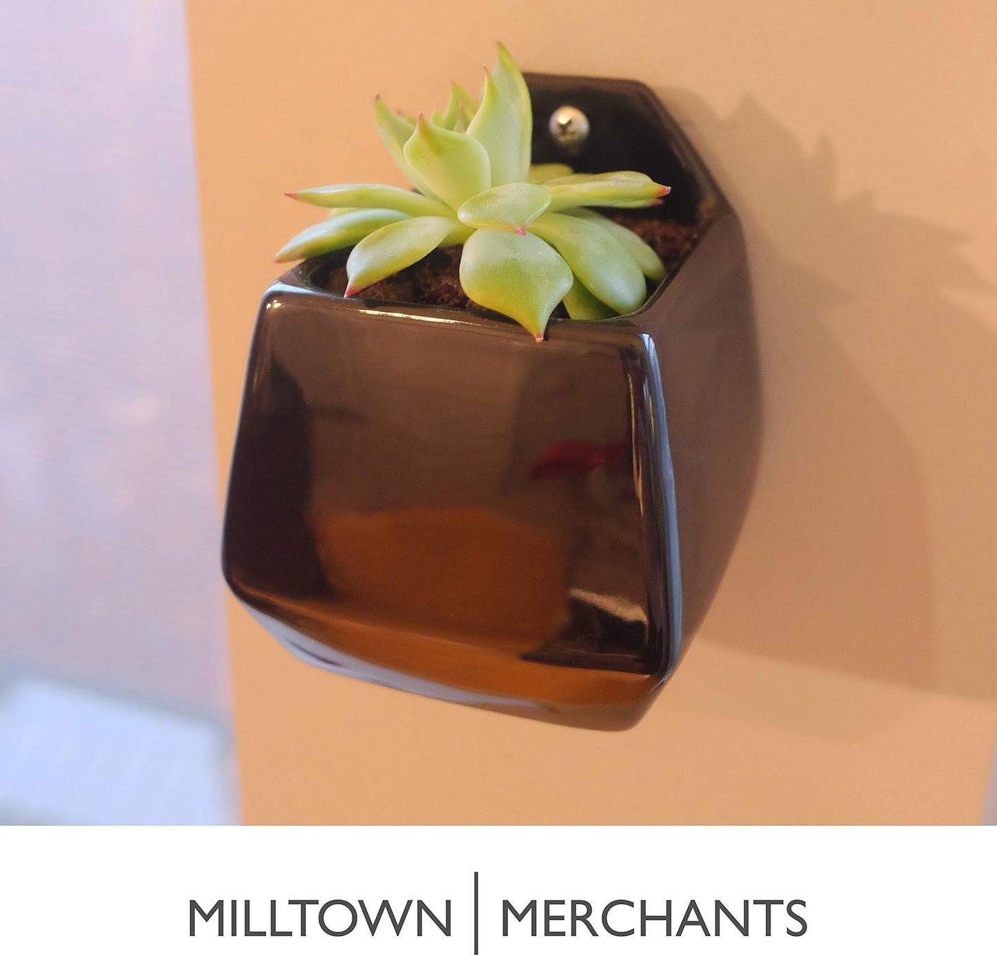 Milltown Merchants Succulent Wall Planter - Wall Vase - Black Ceramic Wall Mounted Planter - Succulent Plant Pot - Hanging Vase for Living Wall (1 Pack/Contemporary/Black)