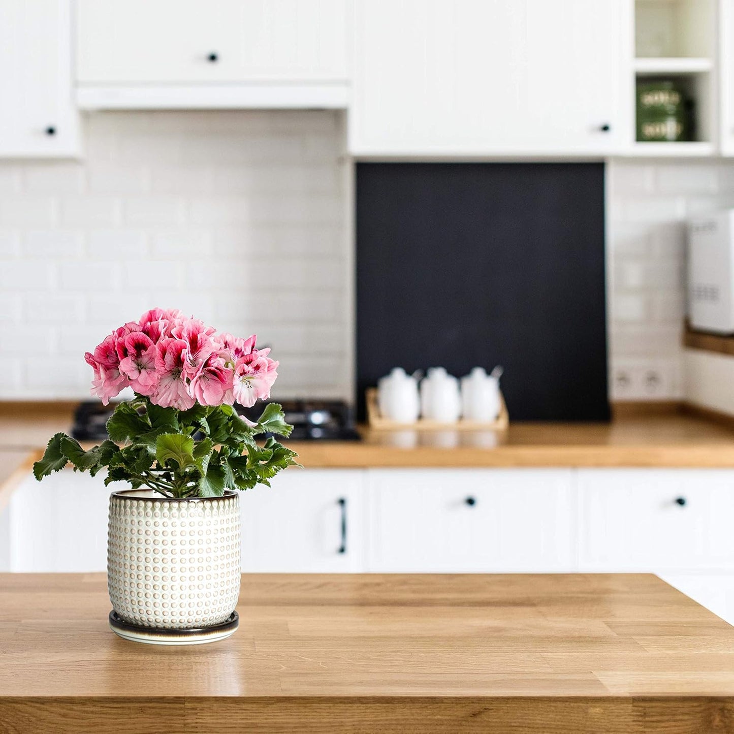 D'vine Dev 4 Inch Ceramic Beaded Stoneware Planter Pot - Flower Pot with Drainage Holes and Saucers for Indoor Succulent Plants or Flowers, Smoked White, 27-C-Z-1