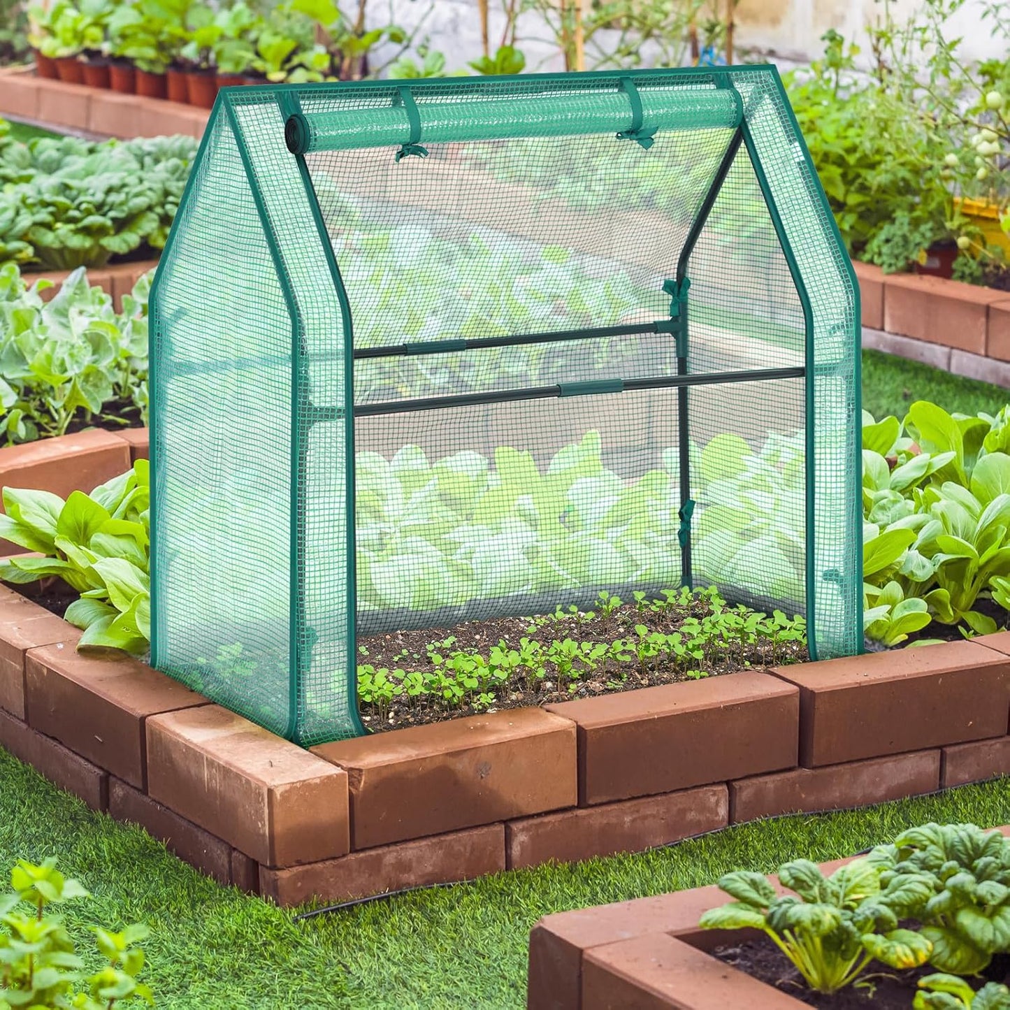 Mini Greenhouse for Indoor Outdoor: Ohuhu Tabletop Portable Green House with Waterproof Pad for Small Plants Nursery Germination, 36"x18"x33" Heavy-Duty PE Cover Green