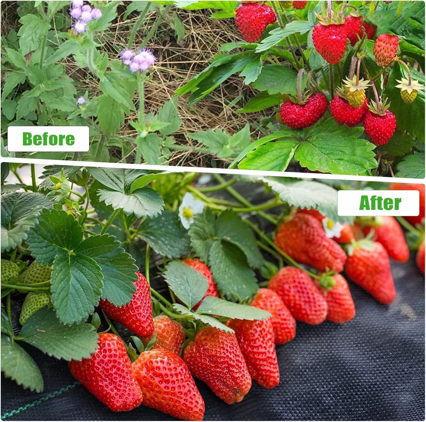 6FTx300FT Weed Barrier Fabric Heavy Duty, Gardening Landscape Fabric Cover Mat, Durable Weed Control Fabric for Garden Bed Cover, Landscaping, Commercial Driveway, Underlayment Use (6x300FT-3.2OZ)