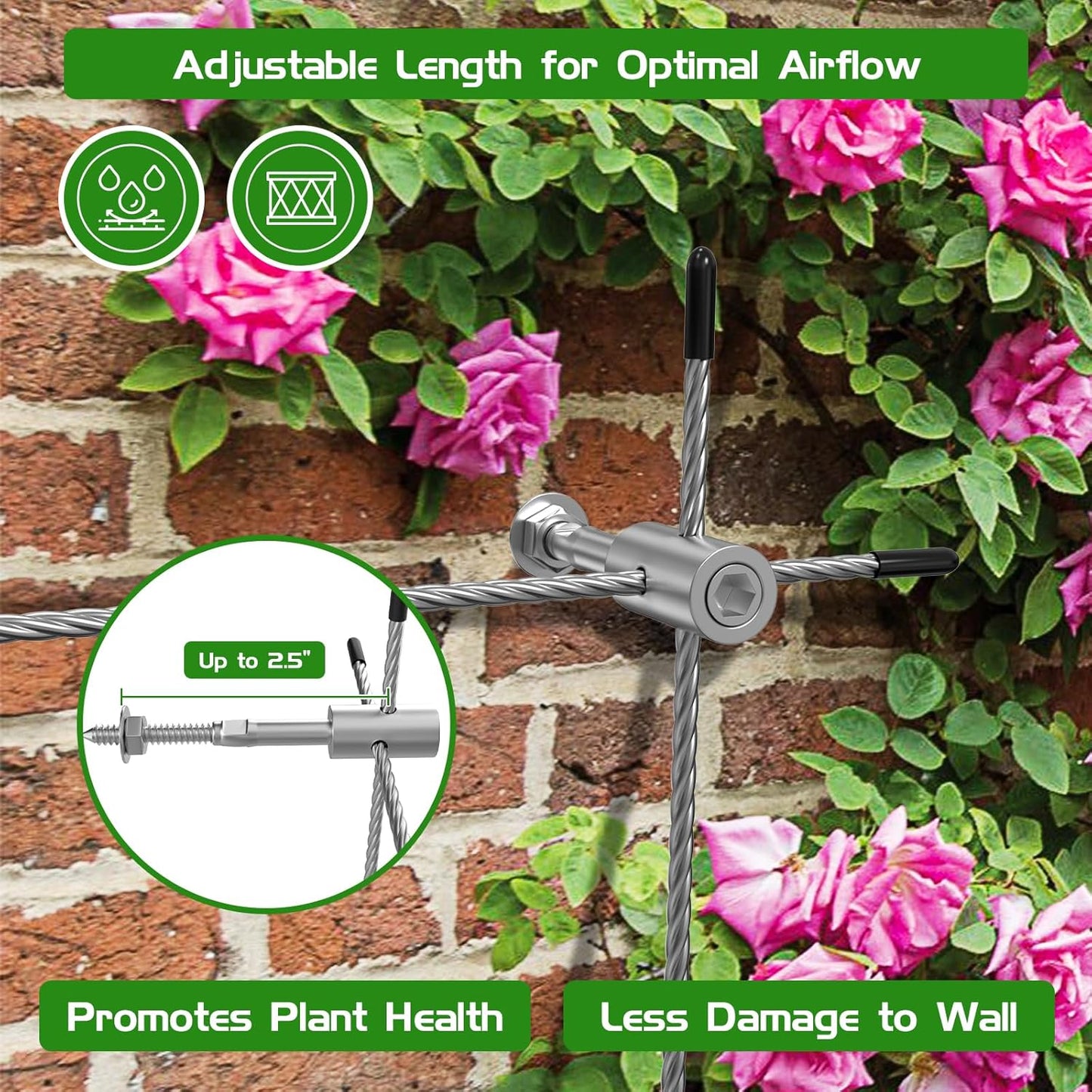 20 Set Trellis Wire for Climbing Plants Outdoor, T316 Wall Wire Trellis Kit with Stainless Steel Cable 1/8" x 164ft, Espalier System Cable Trellis Kit with Adjustable Spacing Vines Green Wall