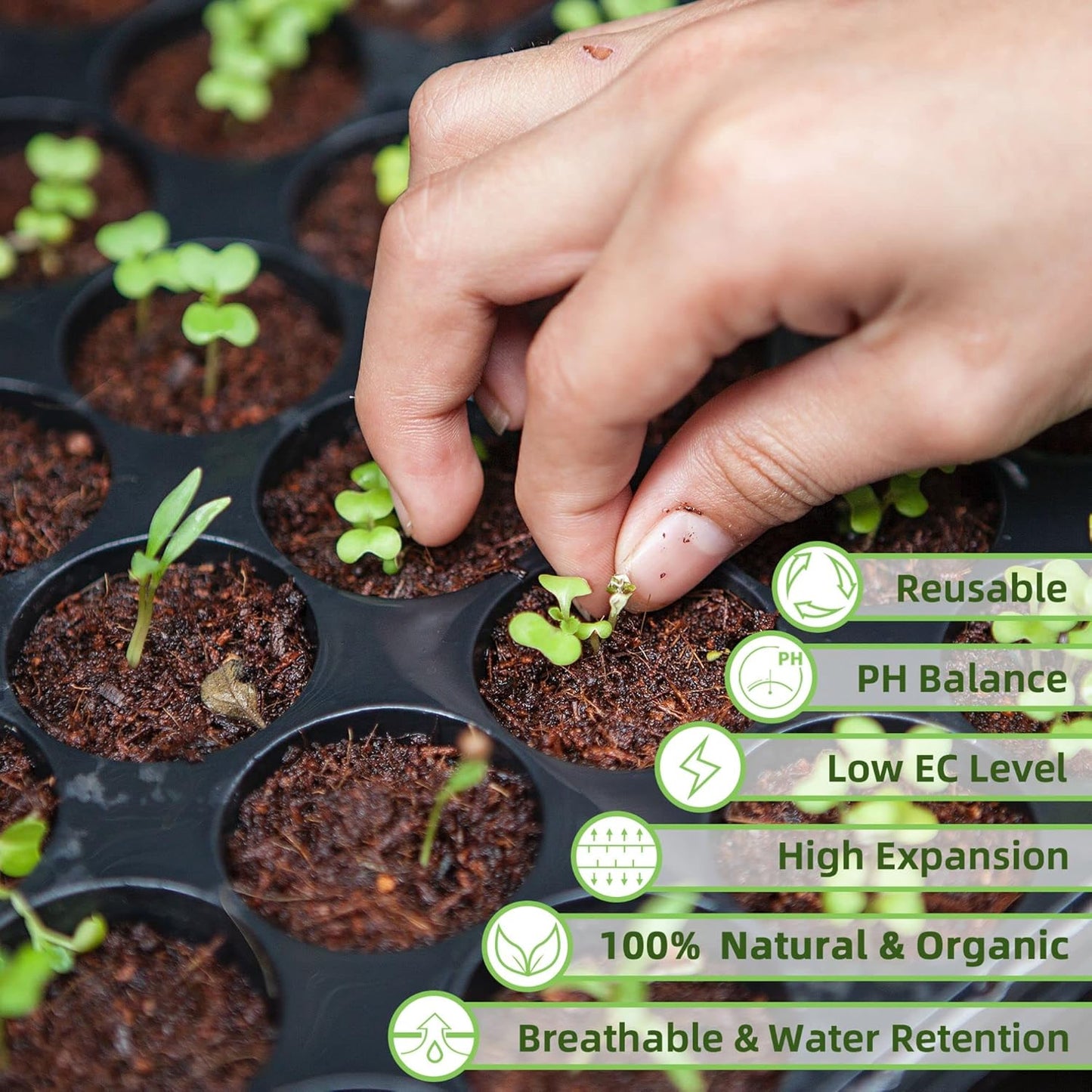 Coco Coir Brick for Plants, 24 Packs 100% Natural Organic Compressed Coconut Coir Fiber with Low EC & PH Balance, High Nutrition Coconut Soil Coco Fiber for Planting, Herbs