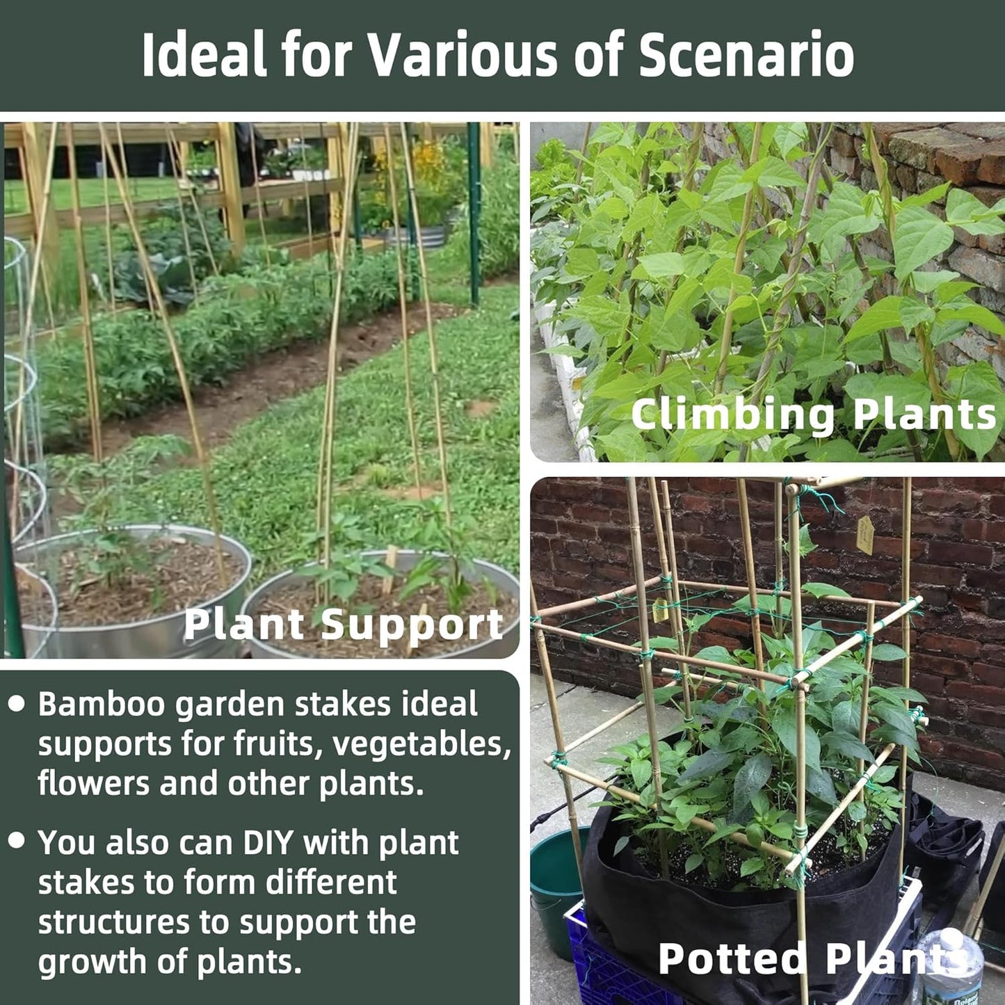 50Pcs / 4ft Bamboo Plant Stakes for Indoor Outdoor Plants, Garden Plant Support Sticks, Poles for Tomato Vegetables Beans Trees Potted Climbing Plants(0.32''-0.4'')