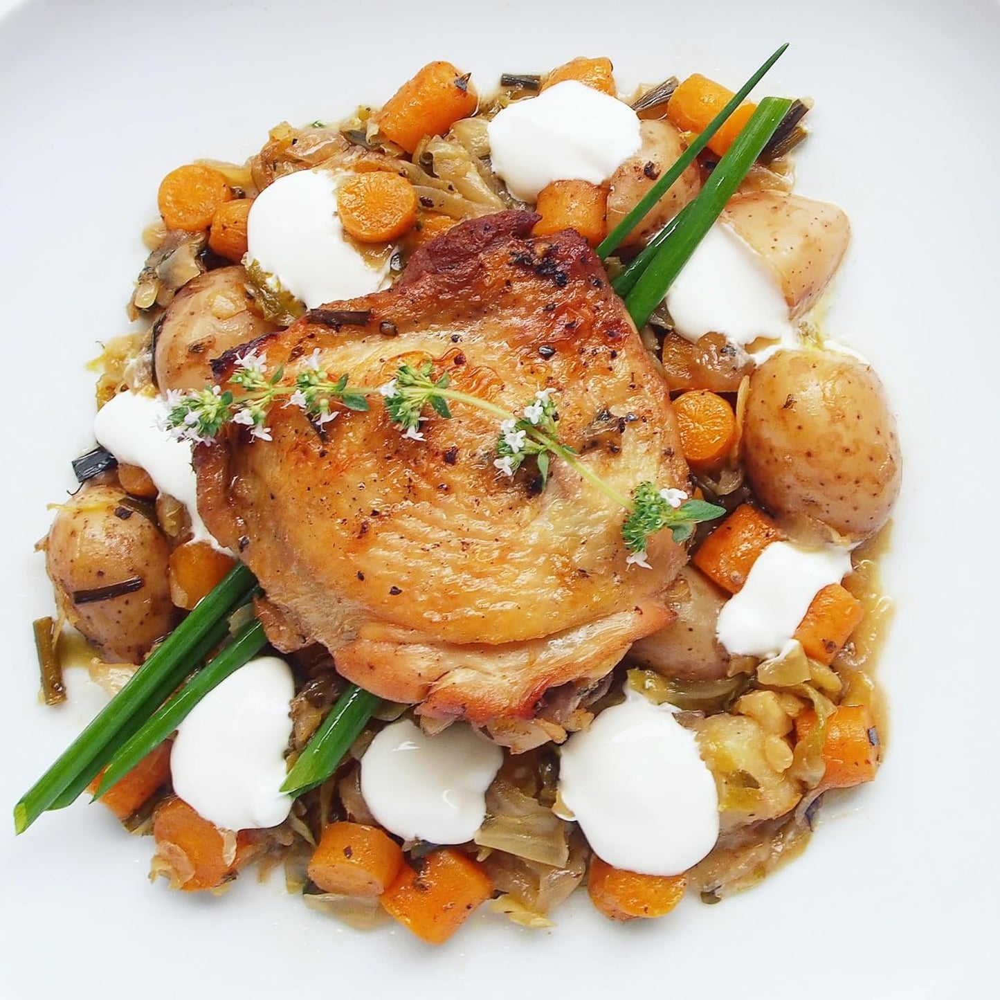 German Thyme Plants - Perfect for Indoor or Outdoor Gardening, High in Antioxidants, Fragrant and Flavorful Herb (2 ger Thyme Cups)