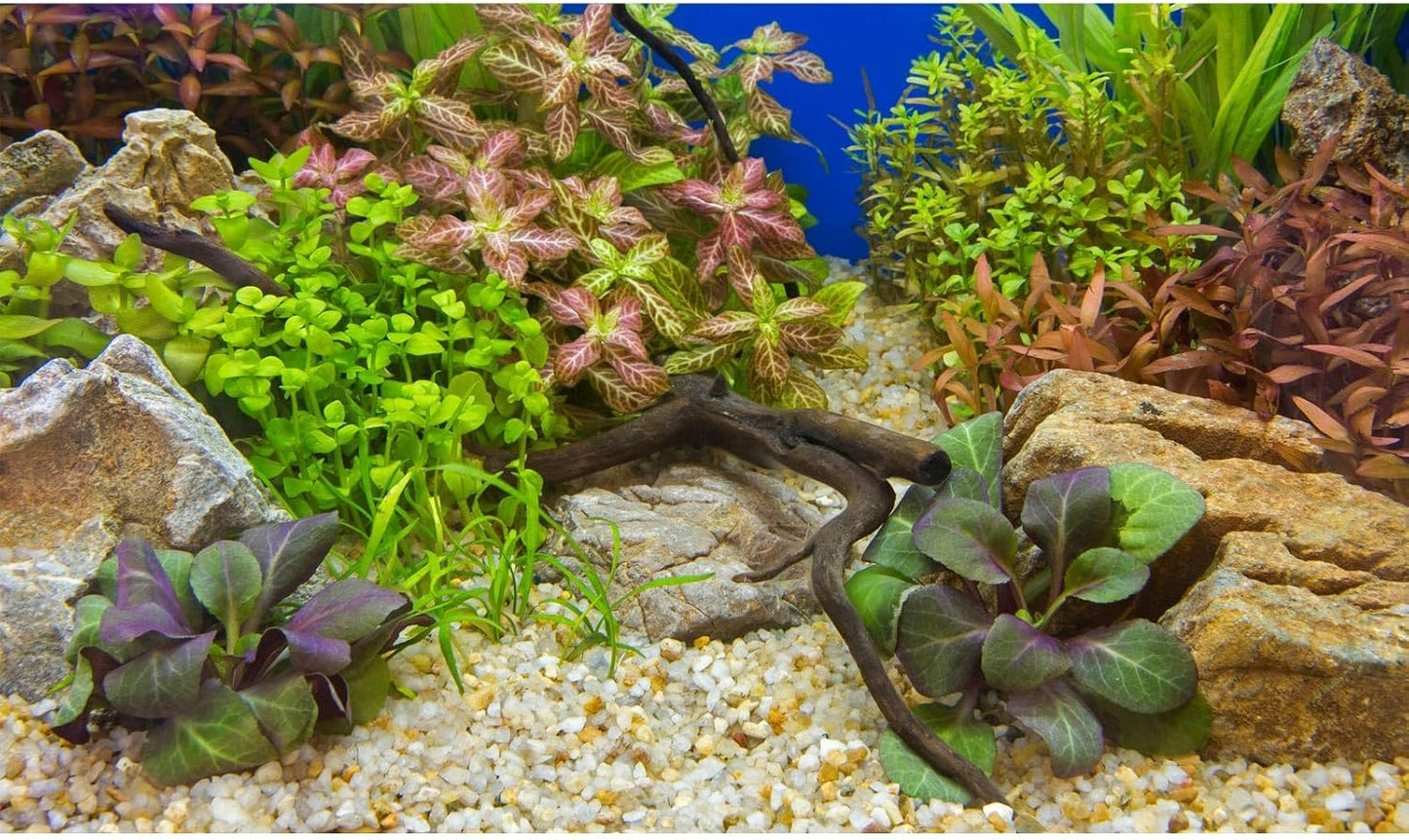 Fish Tank Background Various Underwater Grass Plants Pebble Aquarium Background Vivid Fresh Green Aquatic Plants Stone River Terrarium Backdrop Dead Wood Purple Leaves Tank Background 48x24in